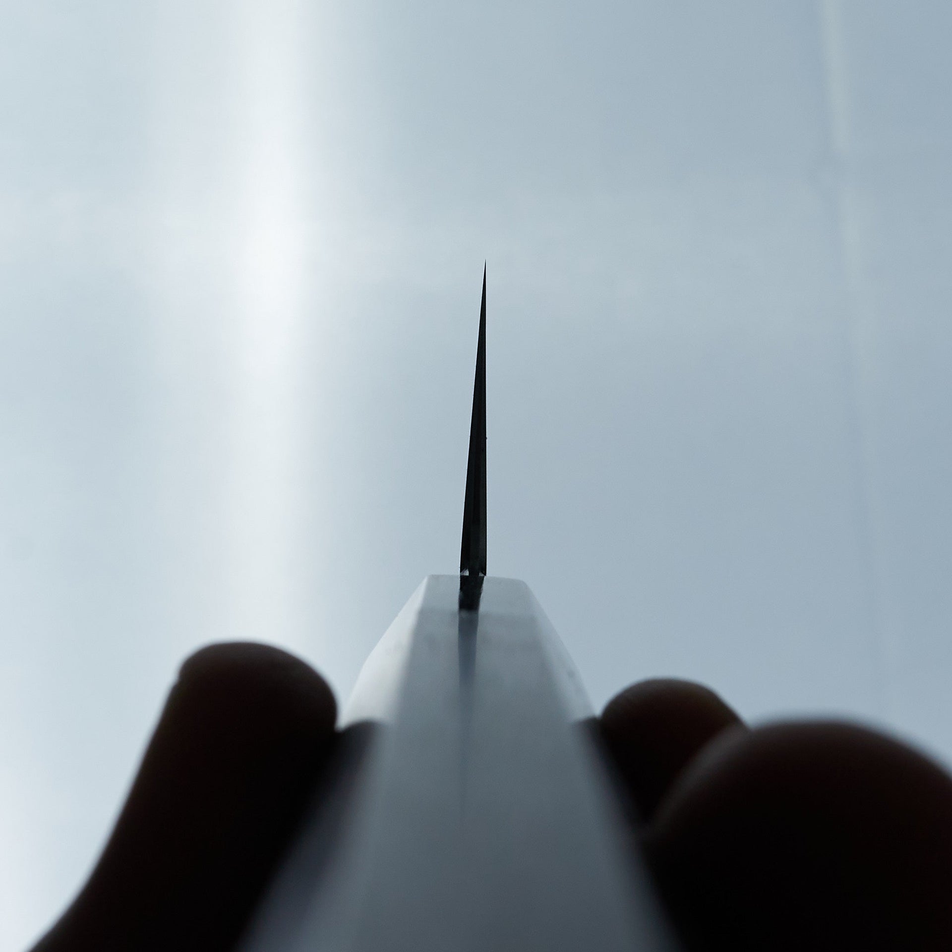 Tetsujin Blue #2 Kasumi Kiritsuke Gyuto 210mm Taihei Wood Handle-Knife-Hitohira-Carbon Knife Co