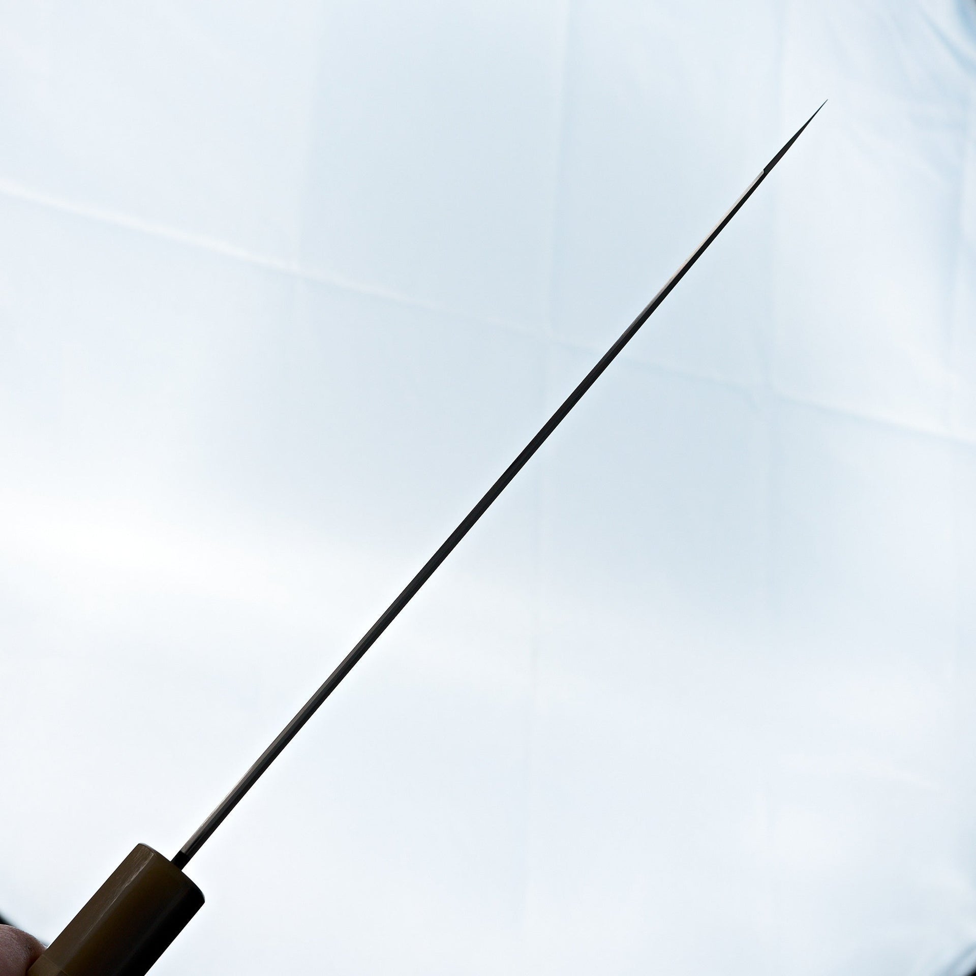 Tetsujin Blue #2 Kasumi Kiritsuke Gyuto 240mm Ho Wood Handle-Knife-Hitohira-Carbon Knife Co