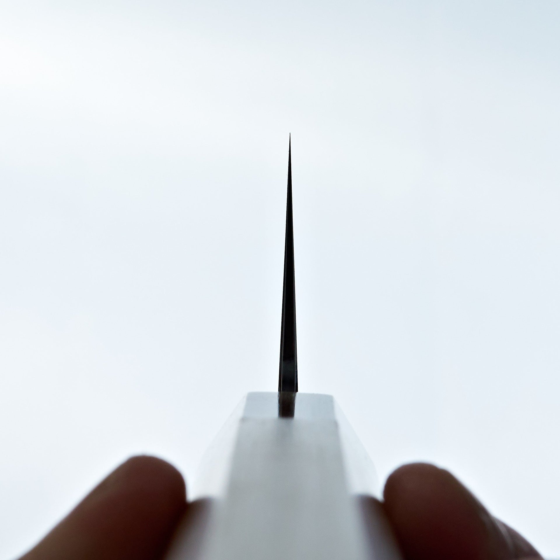 Tetsujin Blue #2 Kasumi Kiritsuke Gyuto 240mm Ho Wood Handle-Knife-Hitohira-Carbon Knife Co