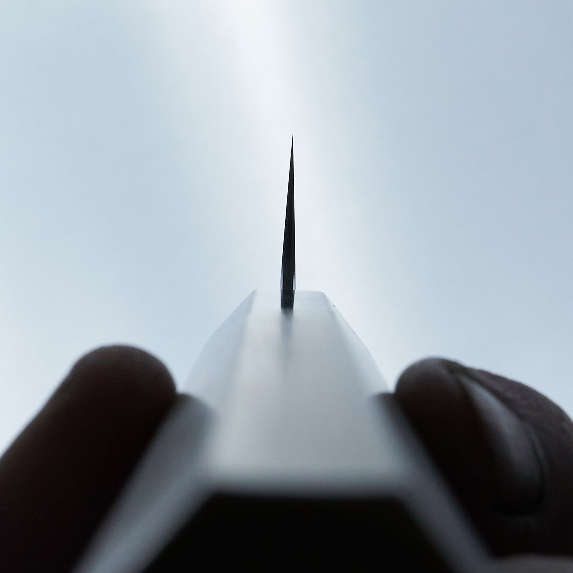 Tetsujin Blue #2 Kasumi Kiritsuke Petty 165mm Ho Wood Handle-Knife-Hitohira-Carbon Knife Co