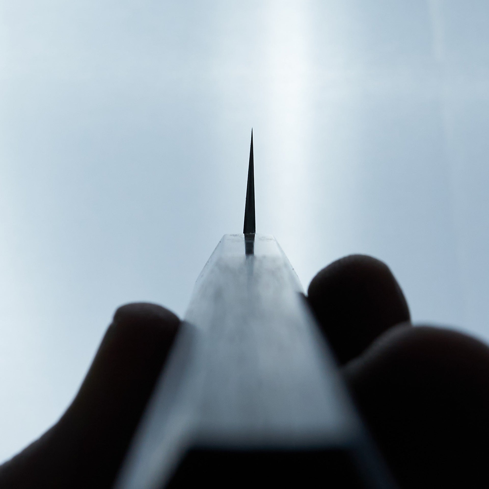 Tetsujin Blue #2 Kasumi Kiritsuke Sujihiki 240mm Taihei Wood Handle-Knife-Hitohira-Carbon Knife Co