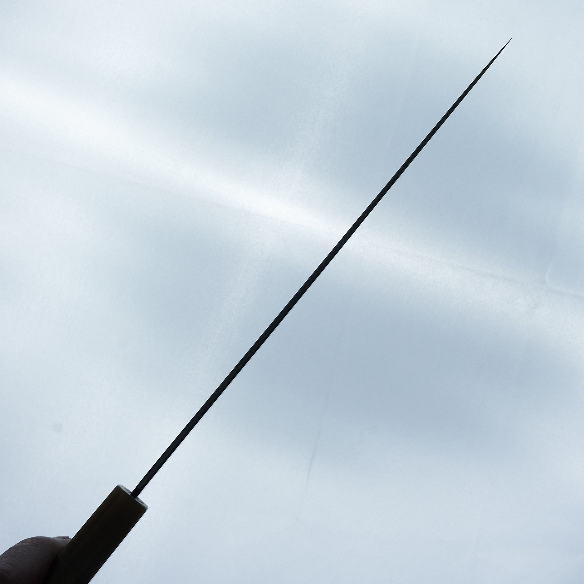 Tetsujin Blue #2 Kasumi Sujihiki 270mm Ho Wood Handle-Knife-Hitohira-Carbon Knife Co