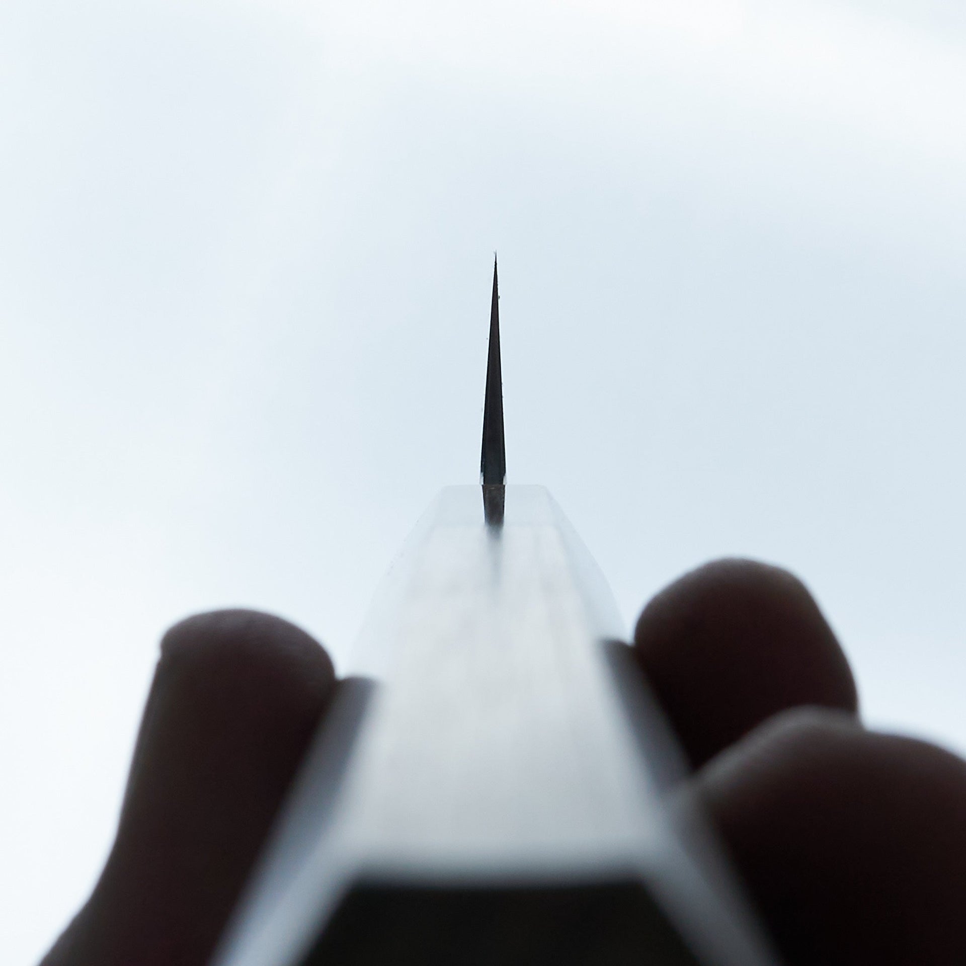 Tetsujin Blue #2 Kasumi Sujihiki 270mm Ho Wood Handle-Knife-Hitohira-Carbon Knife Co