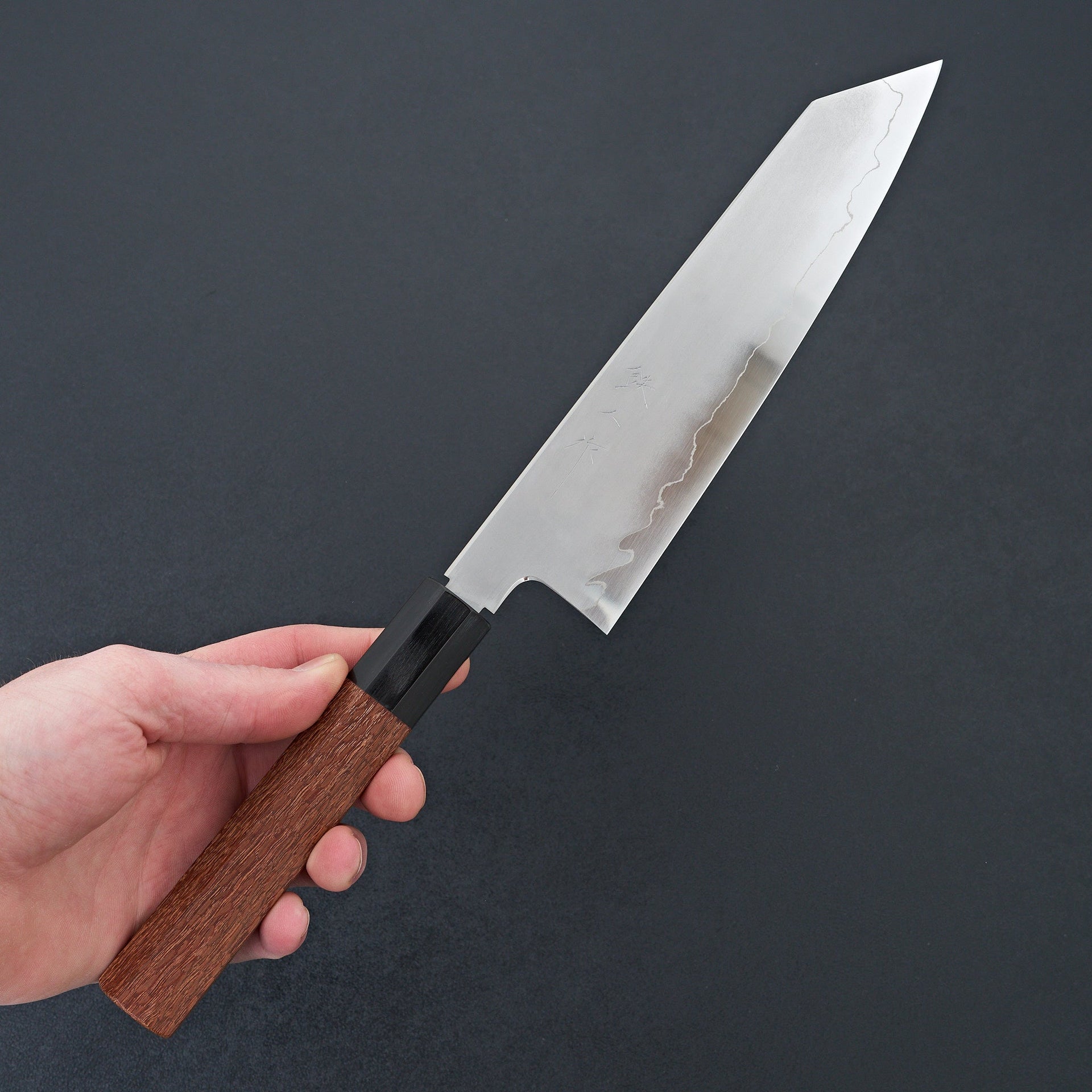 Tetsujin Silver #3 Kasumi Kiritsuke Gyuto 210mm Lacewood Handle-Knife-Hitohira-Carbon Knife Co