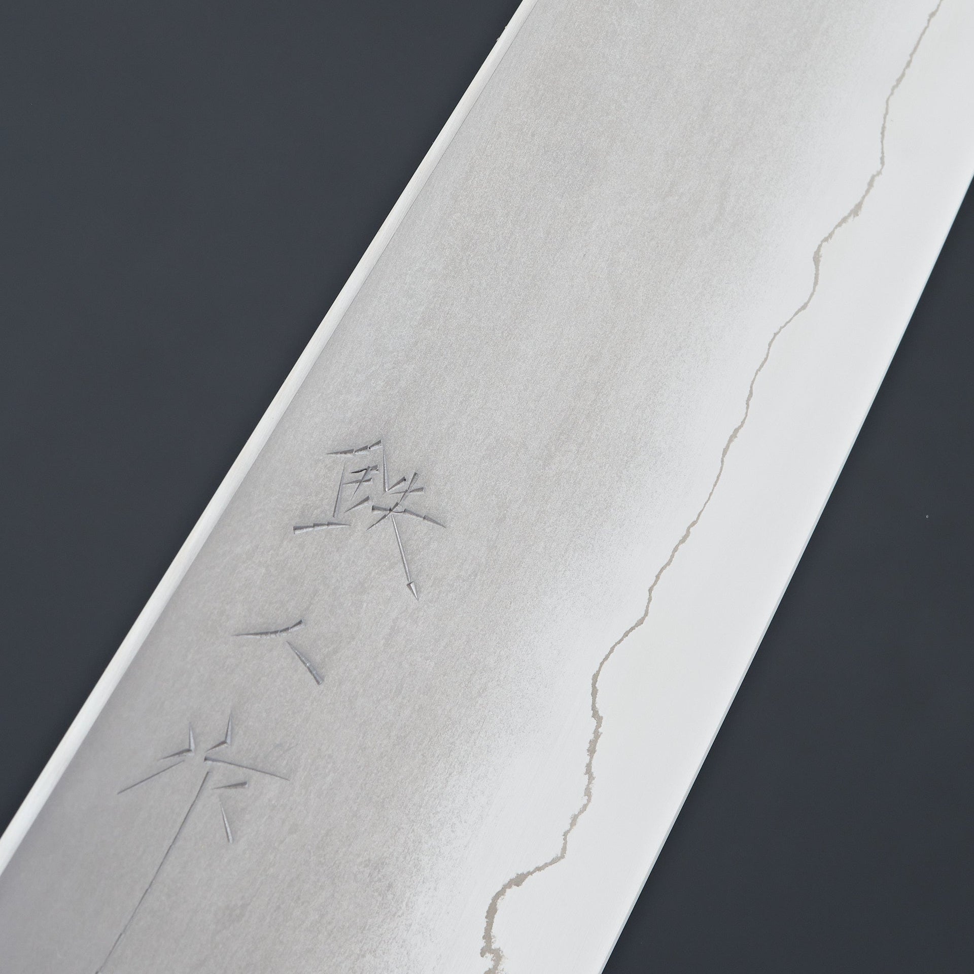 Tetsujin Silver #3 Kasumi Kiritsuke Gyuto 210mm Lacewood Handle-Knife-Hitohira-Carbon Knife Co