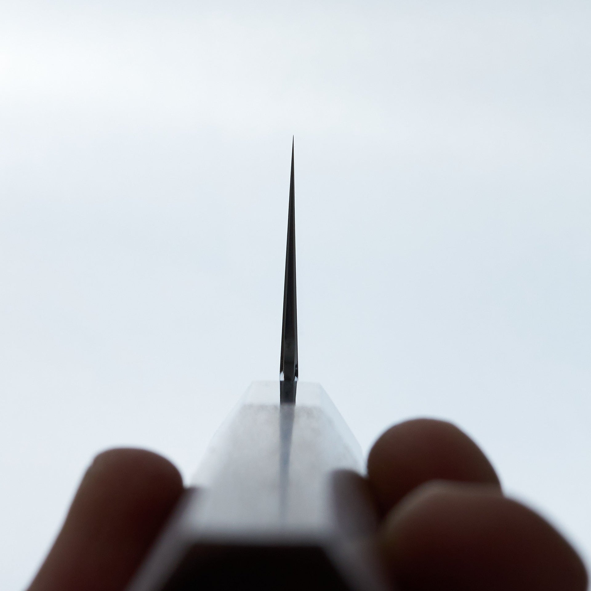 Tetsujin Silver #3 Kasumi Kiritsuke Gyuto 210mm Lacewood Handle-Knife-Hitohira-Carbon Knife Co