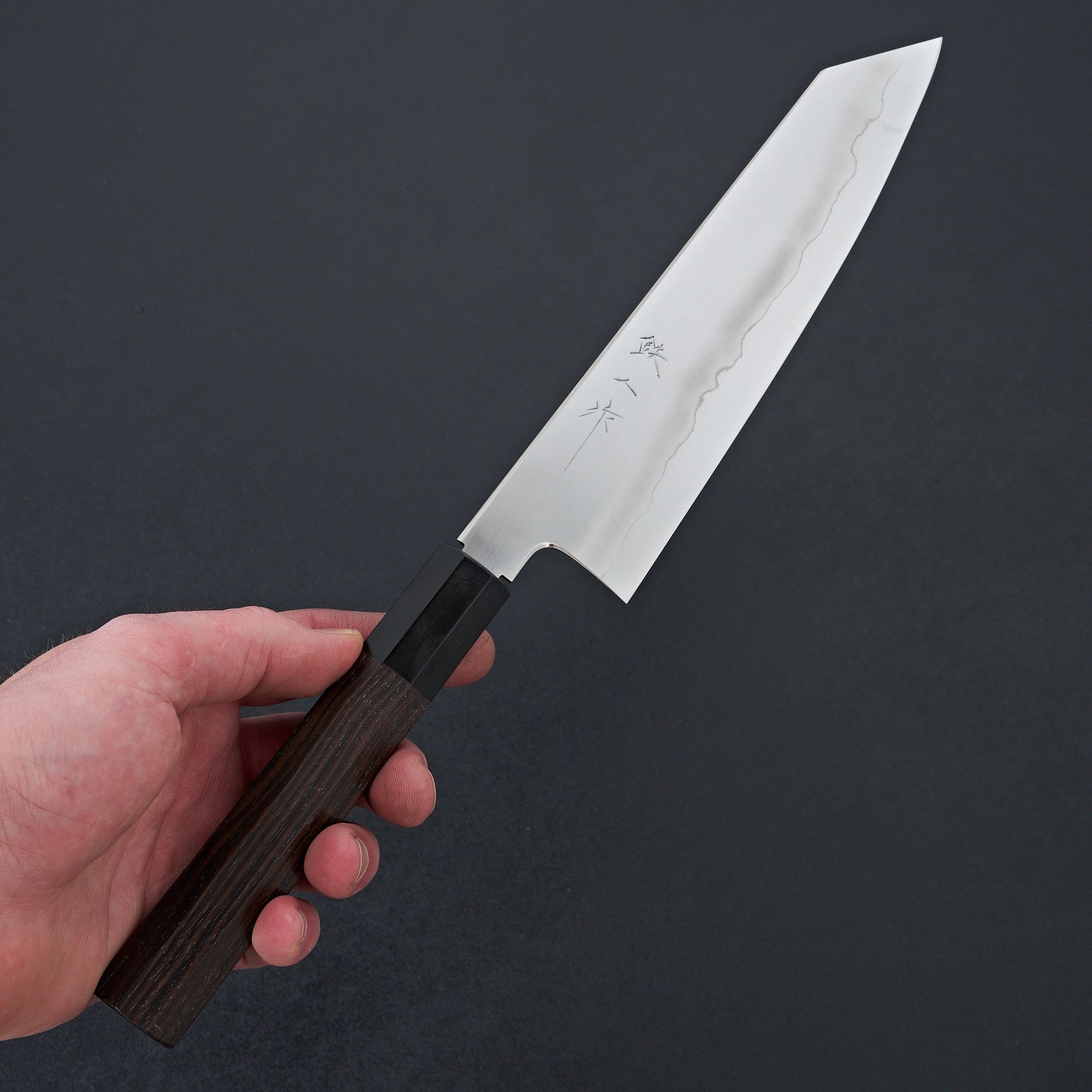 Tetsujin Silver #3 Ukiba Kiritsuke Gyuto 210mm Taihei Makassar Ebony Handle-Knife-Hitohira-Carbon Knife Co