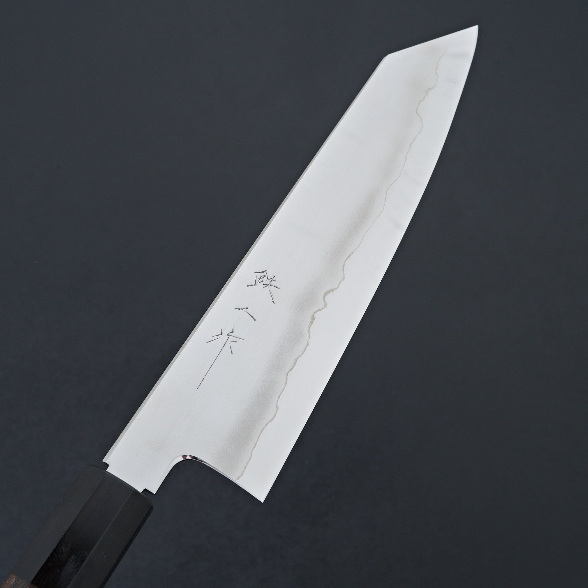 Tetsujin Silver #3 Ukiba Kiritsuke Gyuto 210mm Taihei Makassar Ebony Handle-Knife-Hitohira-Carbon Knife Co