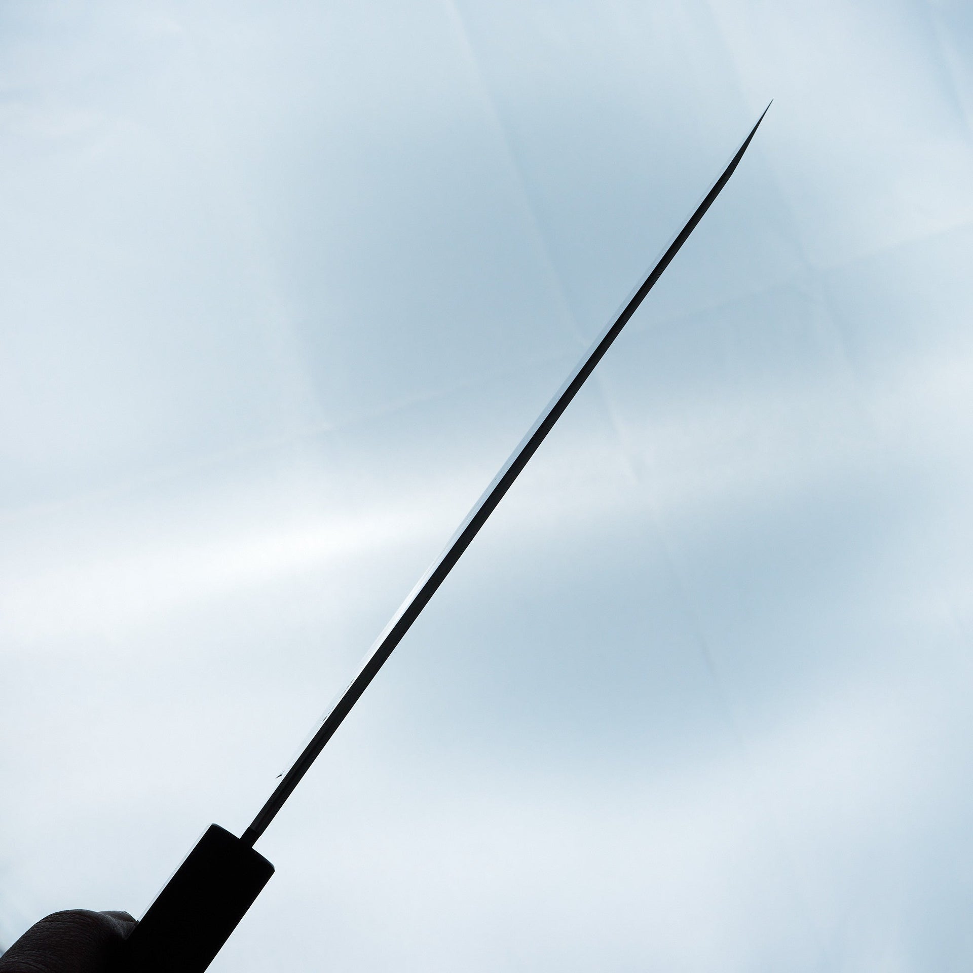 Tetsujin Silver #3 Ukiba Kiritsuke Gyuto 210mm Taihei Makassar Ebony Handle-Knife-Hitohira-Carbon Knife Co