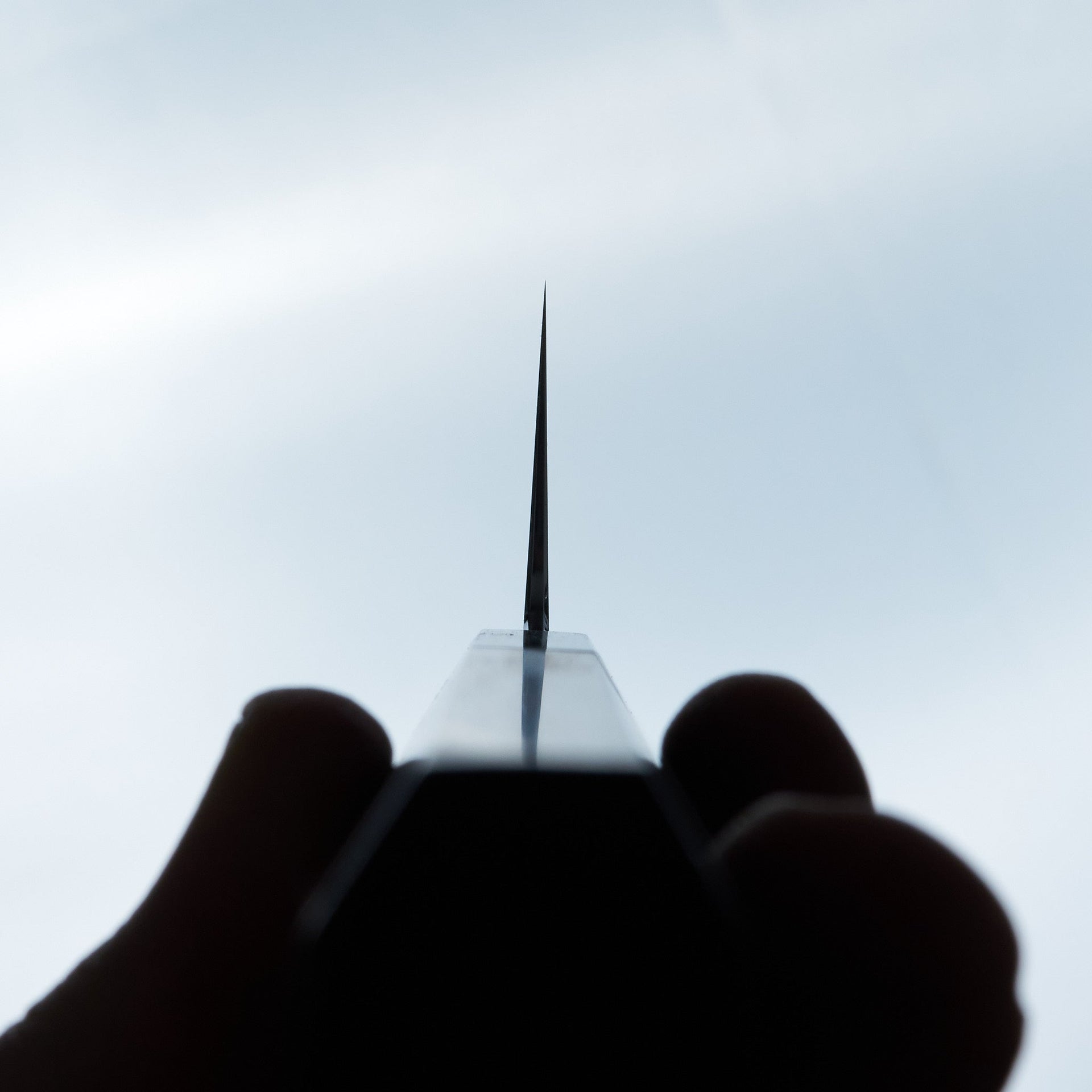 Tetsujin Silver #3 Ukiba Kiritsuke Gyuto 210mm Taihei Makassar Ebony Handle-Knife-Hitohira-Carbon Knife Co