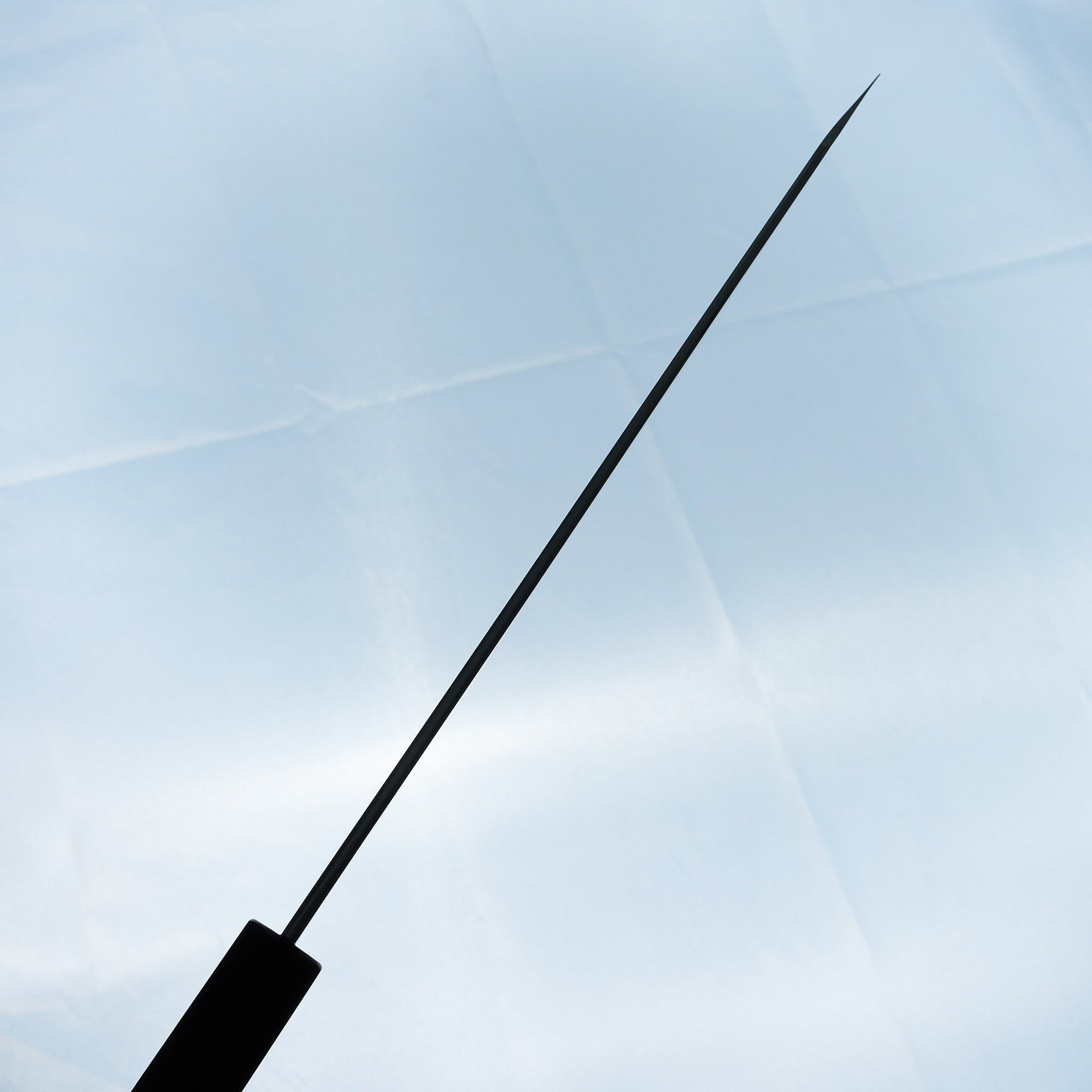 Tetsujin Silver #3 Ukiba Kiritsuke Gyuto 240mm Taihei Tagayasan Handle-Knife-Hitohira-Carbon Knife Co