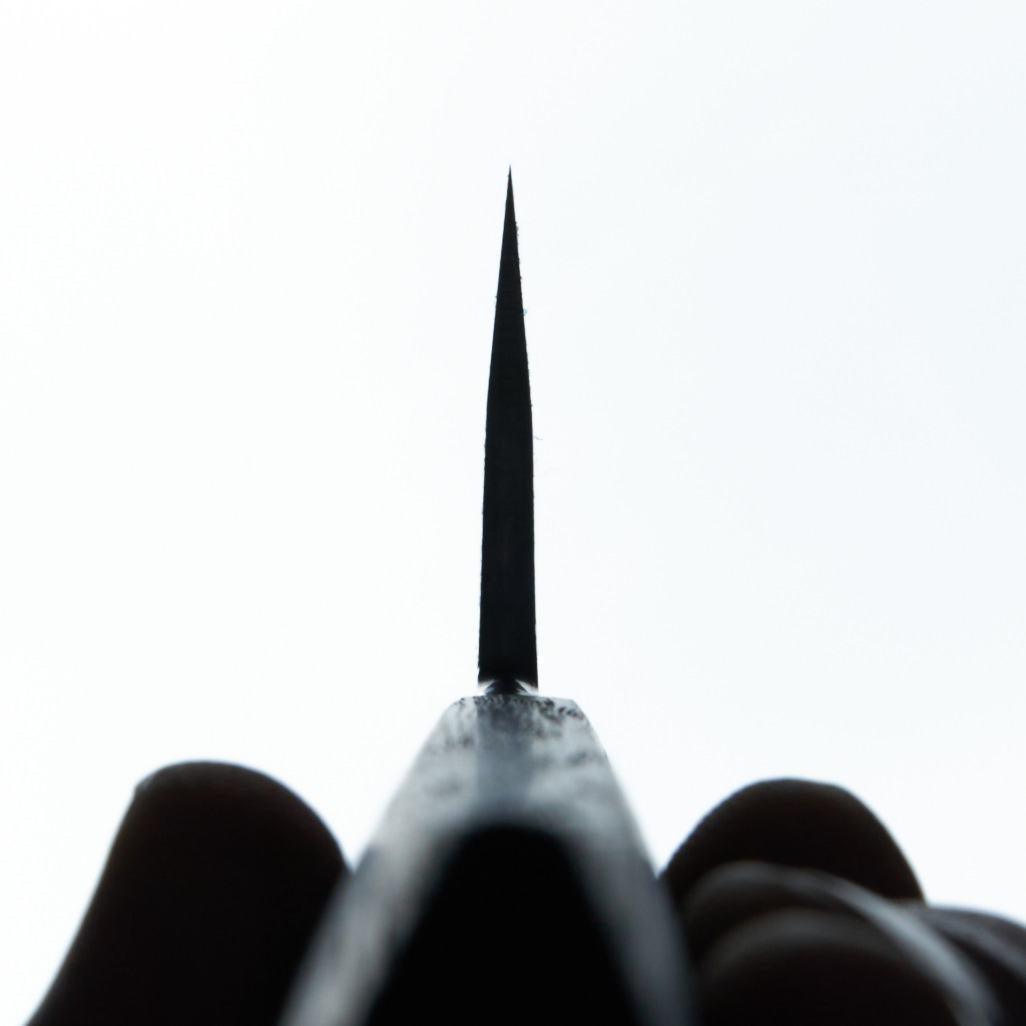 The Nine Aogami 2 Gyuto 246mm-Knife-Carbon Knife Co-Carbon Knife Co