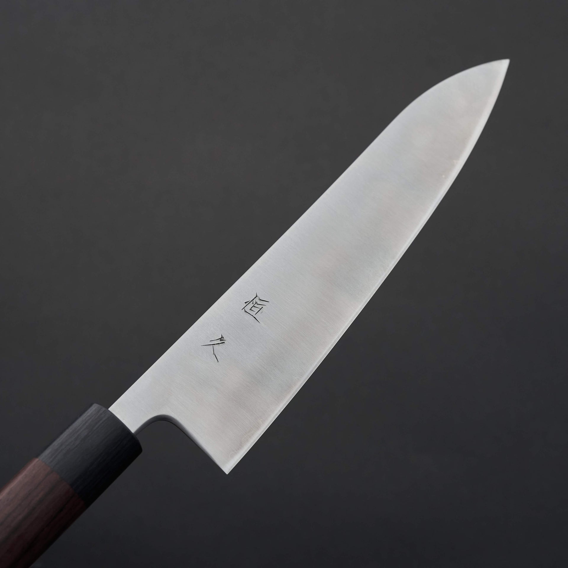 Tsunehisa AS Migaki Gyuto 210mm-Knife-Tsunehisa-Carbon Knife Co
