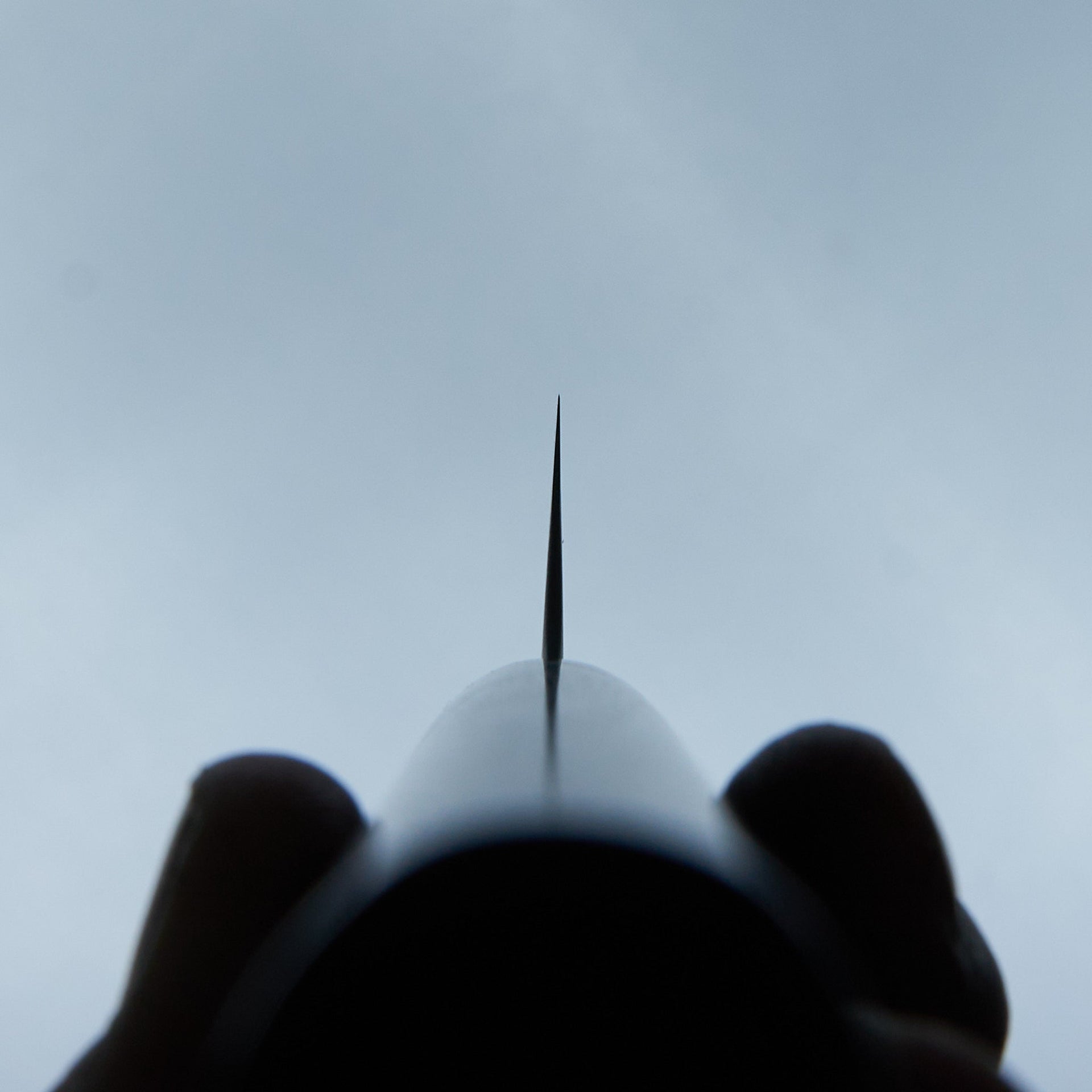 Tsunehisa AS Migaki Sujihiki 270mm-Knife-Tsunehisa-Carbon Knife Co