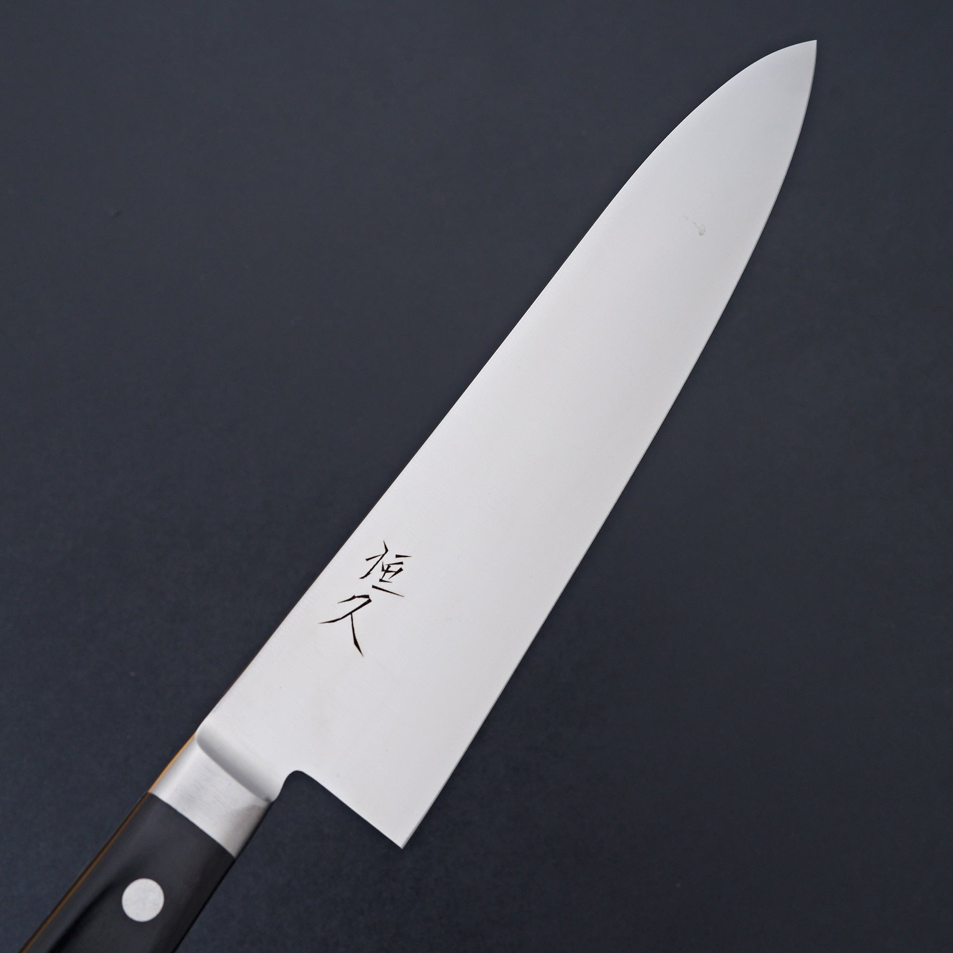 Tsunehisa AUS8 Migaki Yo-Deba 240mm-Knife-Tsunehisa-Carbon Knife Co