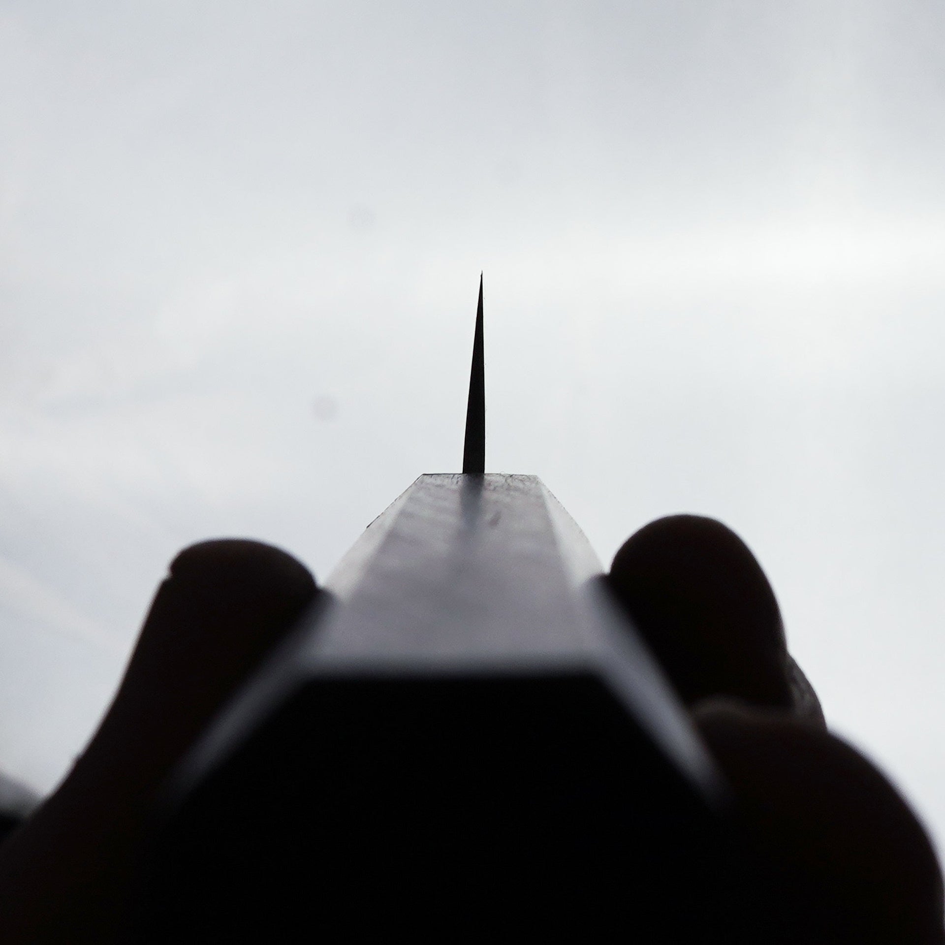 Tsunehisa Ginsan Nashiji Oak Sujihiki 240mm-Knife-Tsunehisa-Carbon Knife Co