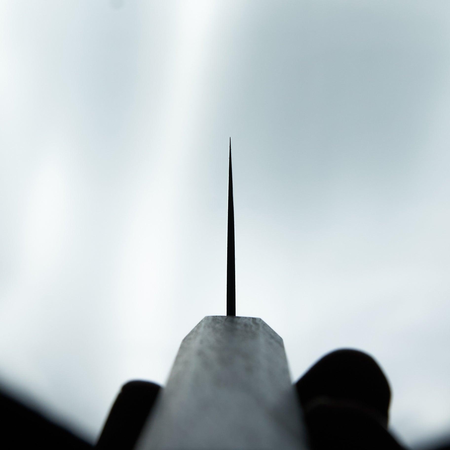 Tsunehisa Nami Damascus Gyuto 240mm-Knife-Tsunehisa-Carbon Knife Co