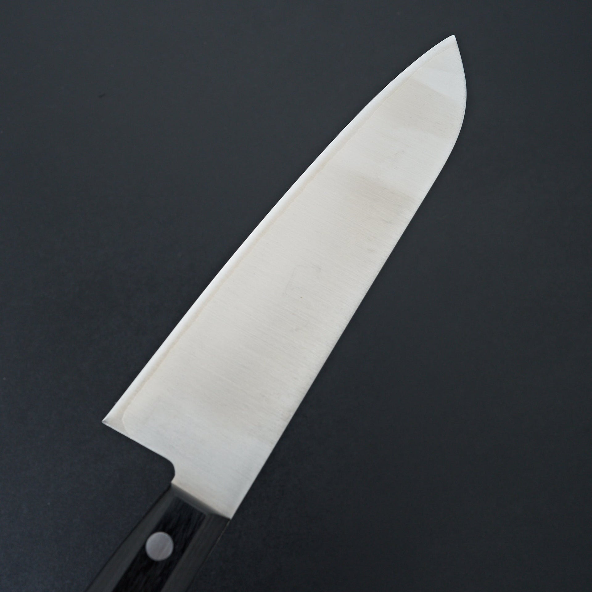 Tsunehisa SLD Western Santoku 180mm-Knife-Tsunehisa-Carbon Knife Co