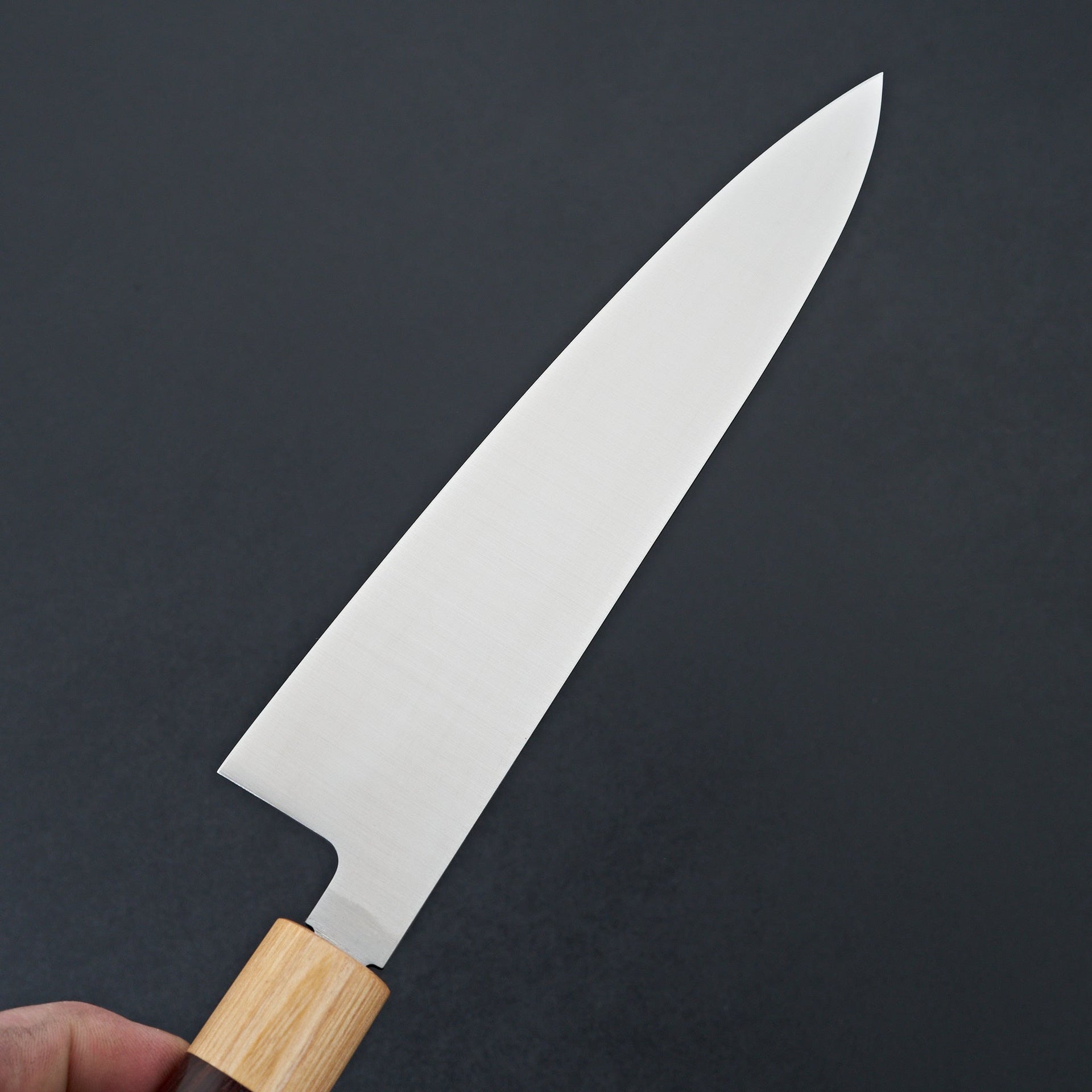 Tsunehisa VG1 Wa Gyuto 210mm-Carbon Knife Co-Carbon Knife Co