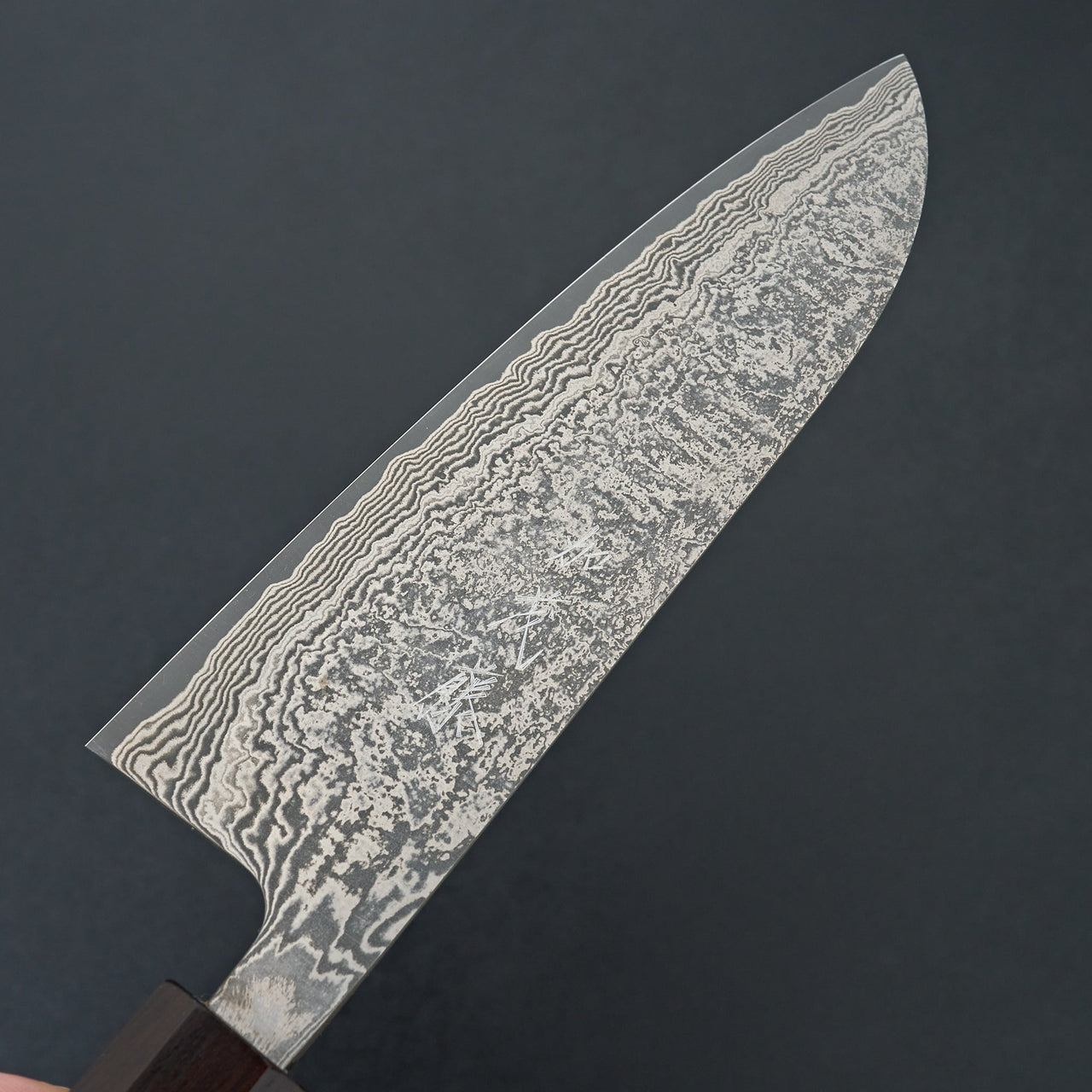 Shiro Kamo