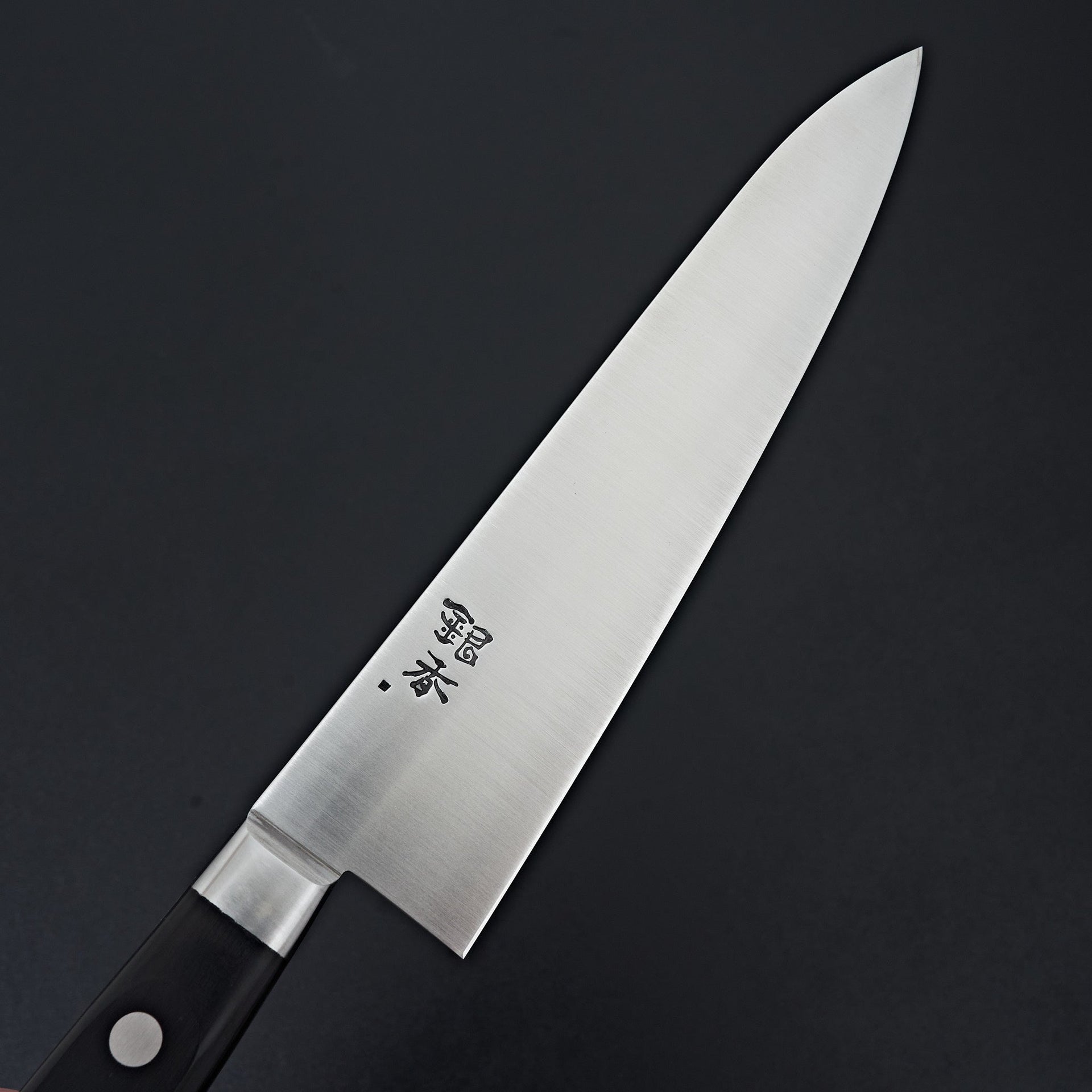 Ashi Ginga Stainless Western Gyuto 210mm-Knife-Ashi Hamono-Carbon Knife Co