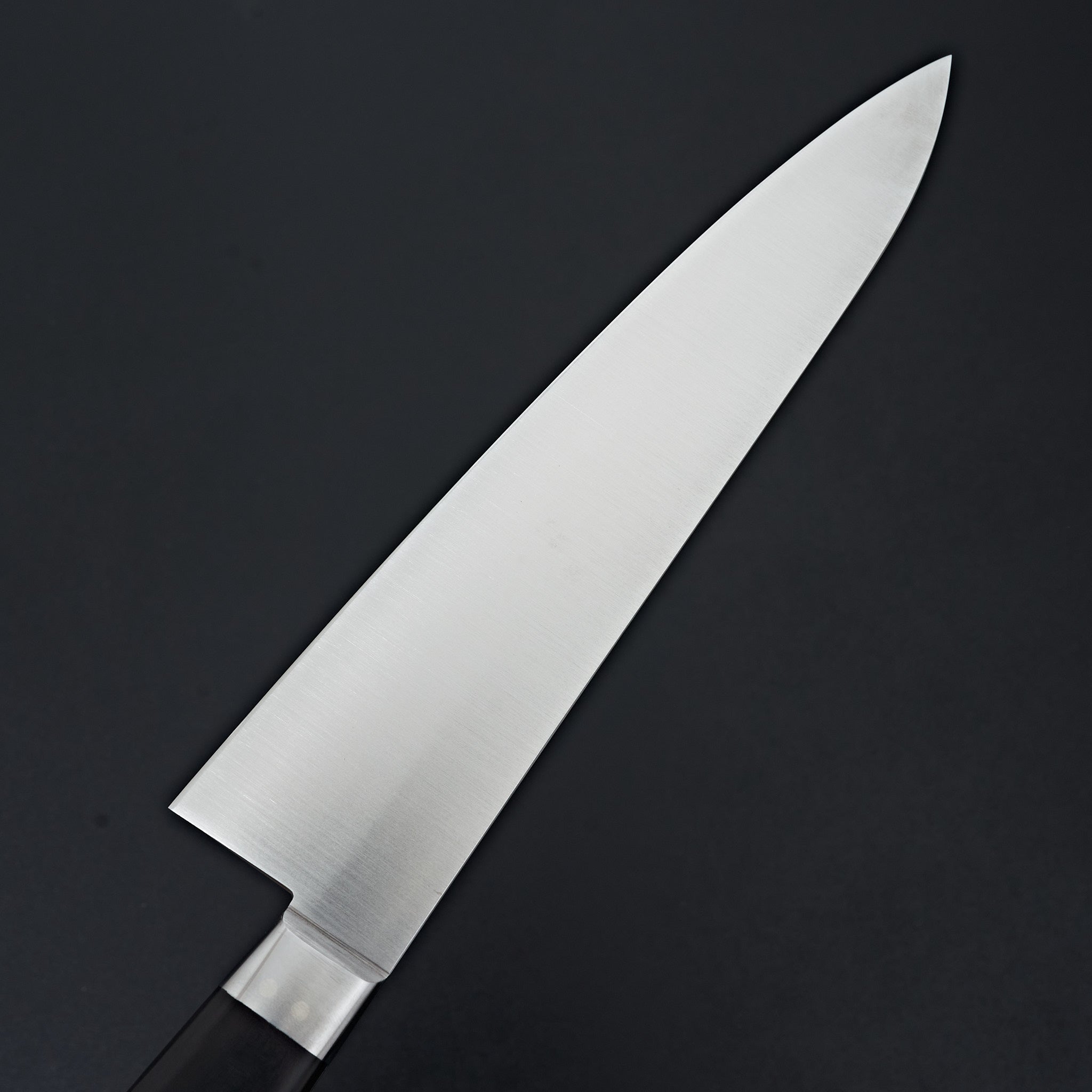 Ashi Ginga Stainless Western Gyuto 210mm