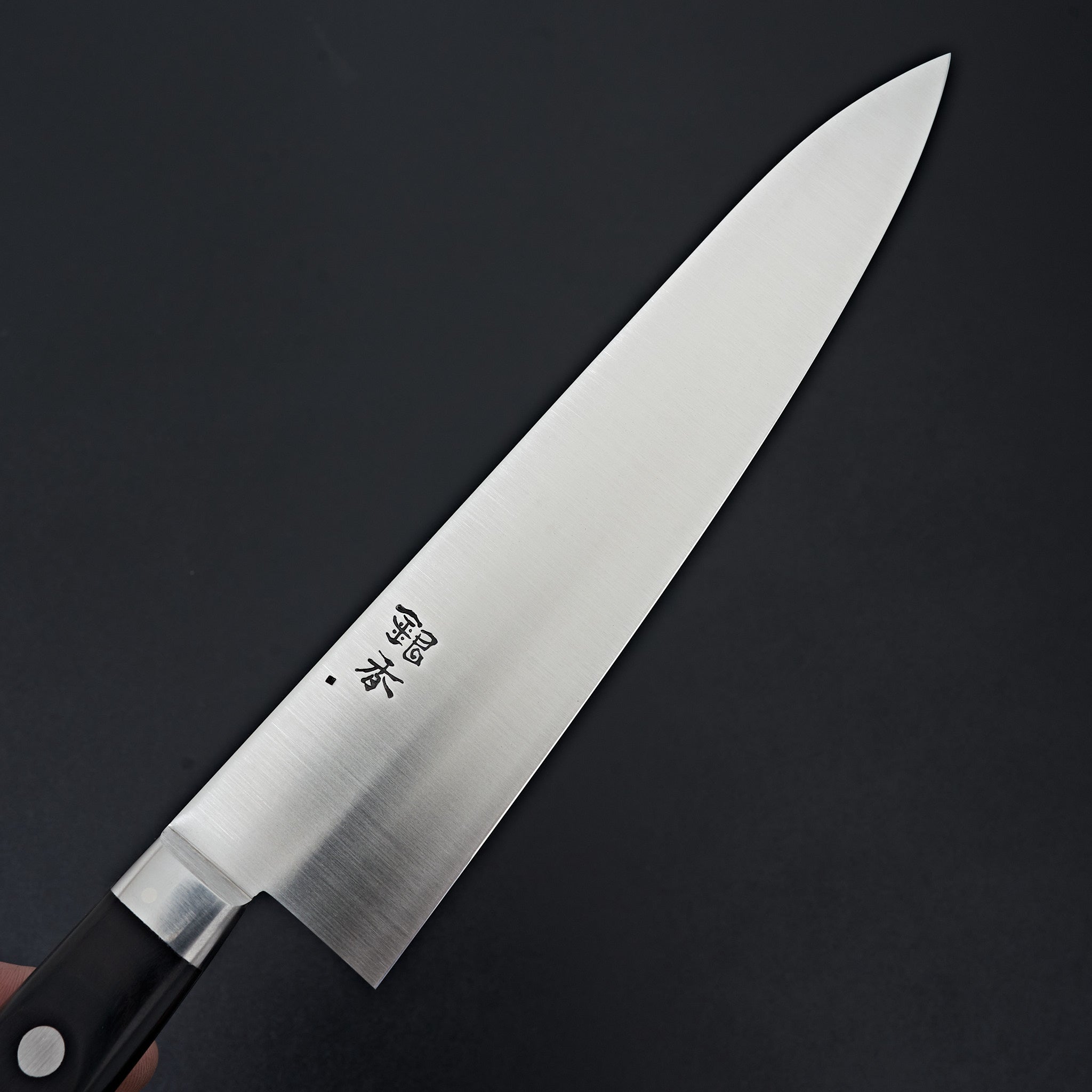 Ashi Ginga Stainless Western Gyuto 240mm