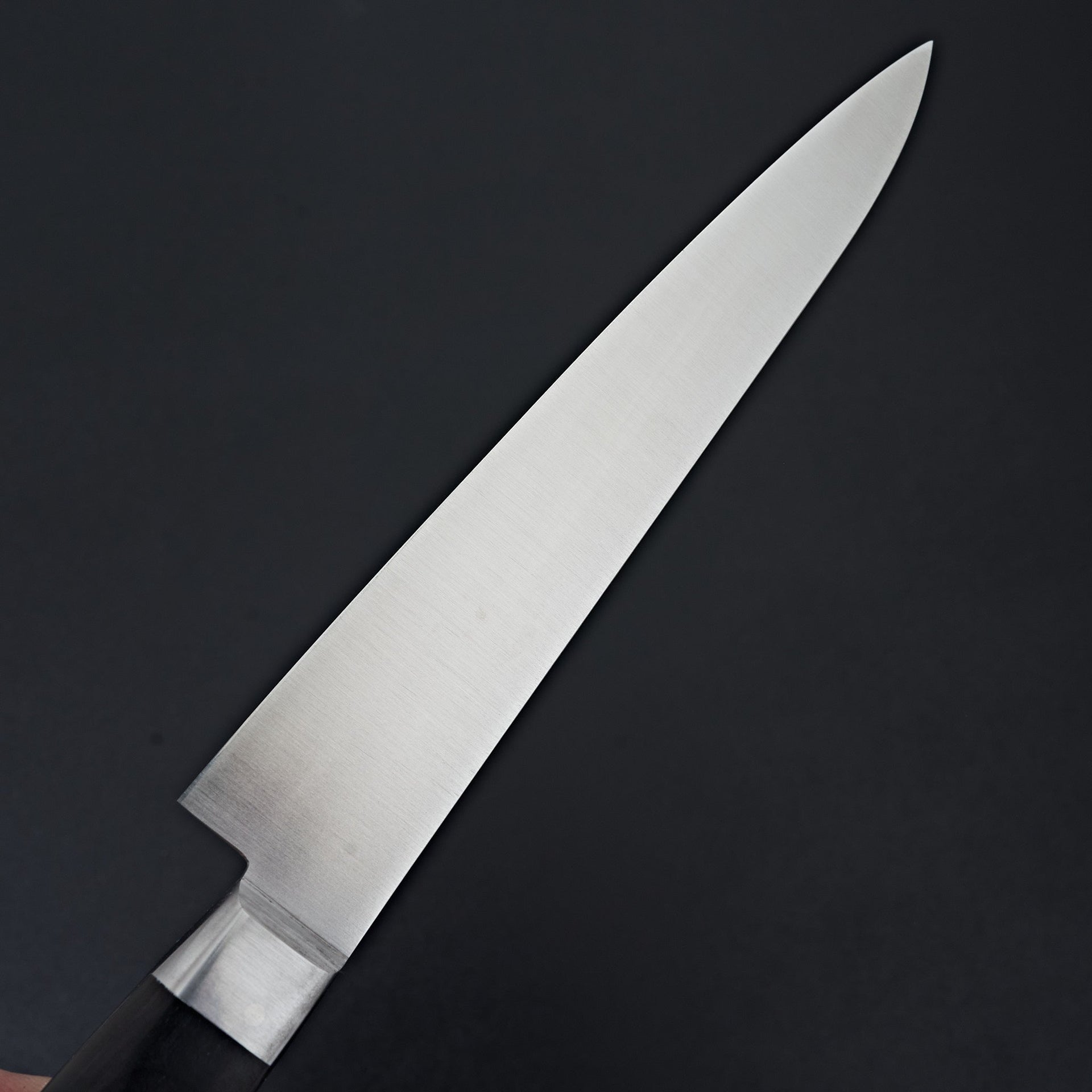 Ashi Ginga Stainless Western Petty 180mm-Knife-Ashi Hamono-Carbon Knife Co