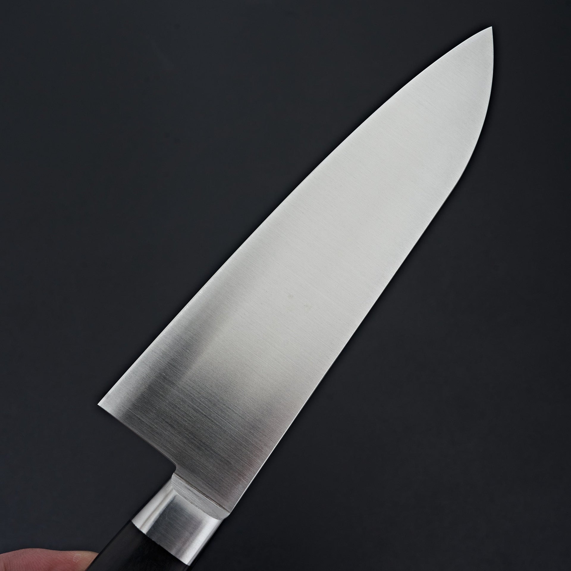 Ashi Ginga Stainless Western Santoku 165mm-Knife-Ashi Hamono-Carbon Knife Co