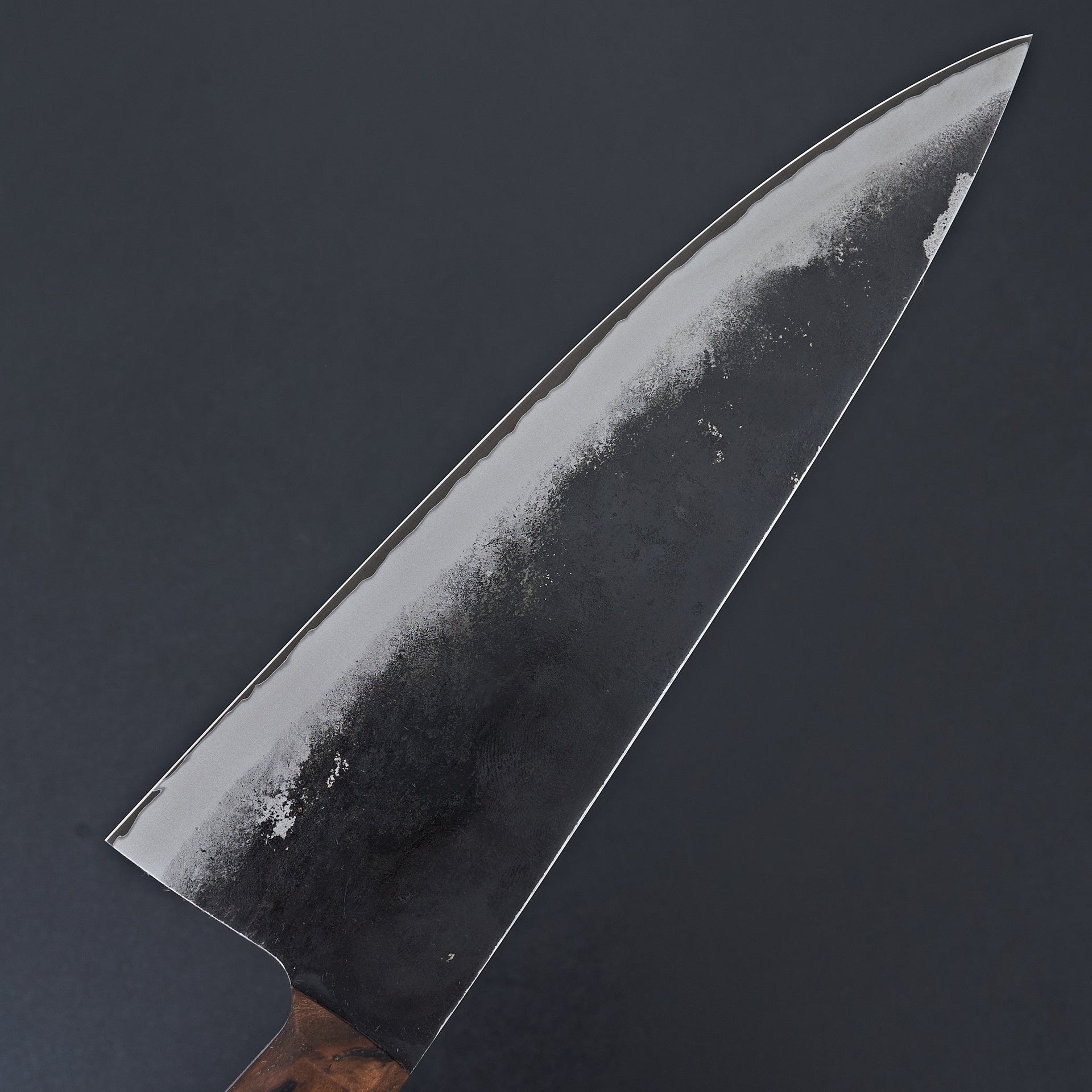 Blenheim Forge Western Stainless Clad Gyuto 200mm-Knife-Blenheim Forge-Carbon Knife Co