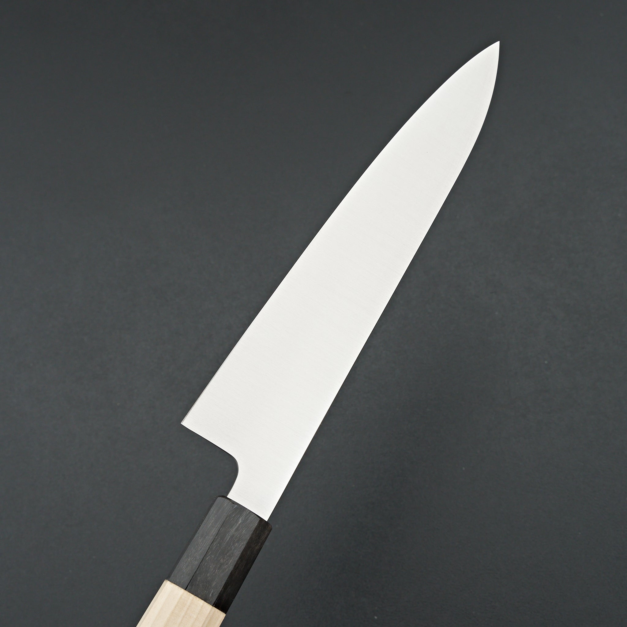 Ashi Ginga Stainless Gyuto 210mm