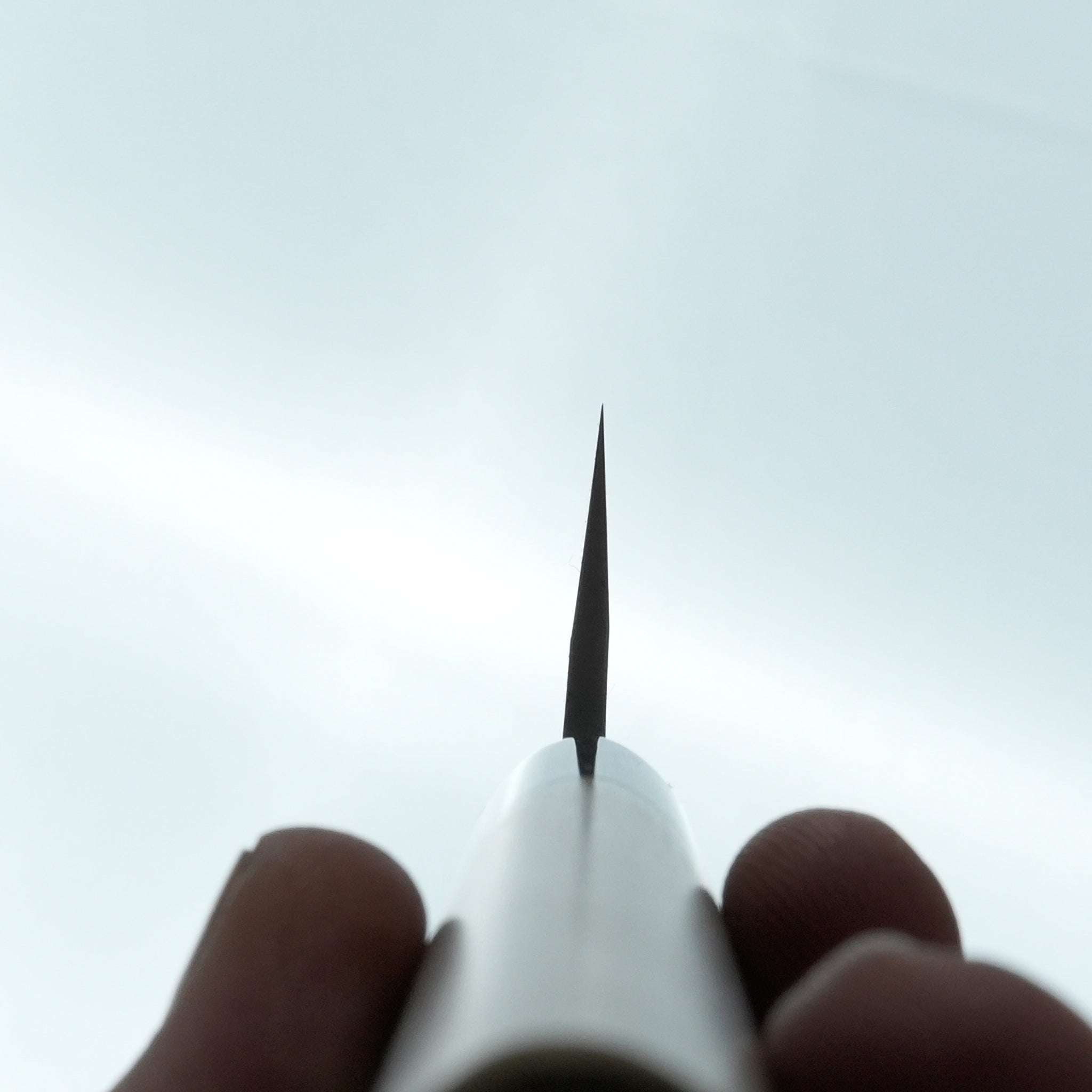 Hitohira TD Blue #2 Stainless Clad Kurouchi Petty 150mm Ho Wood Handle