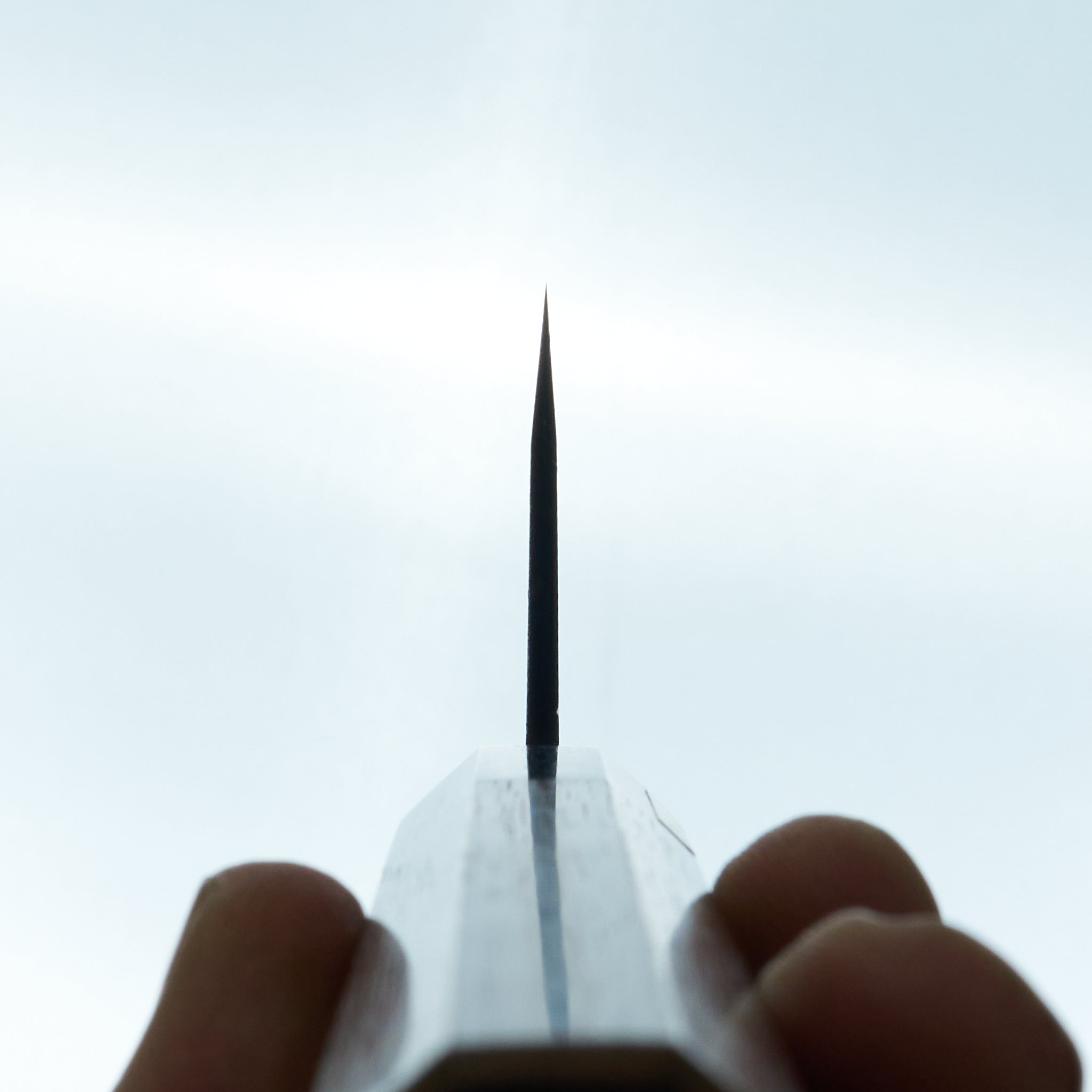 Moritaka AS Gyuto 240mm