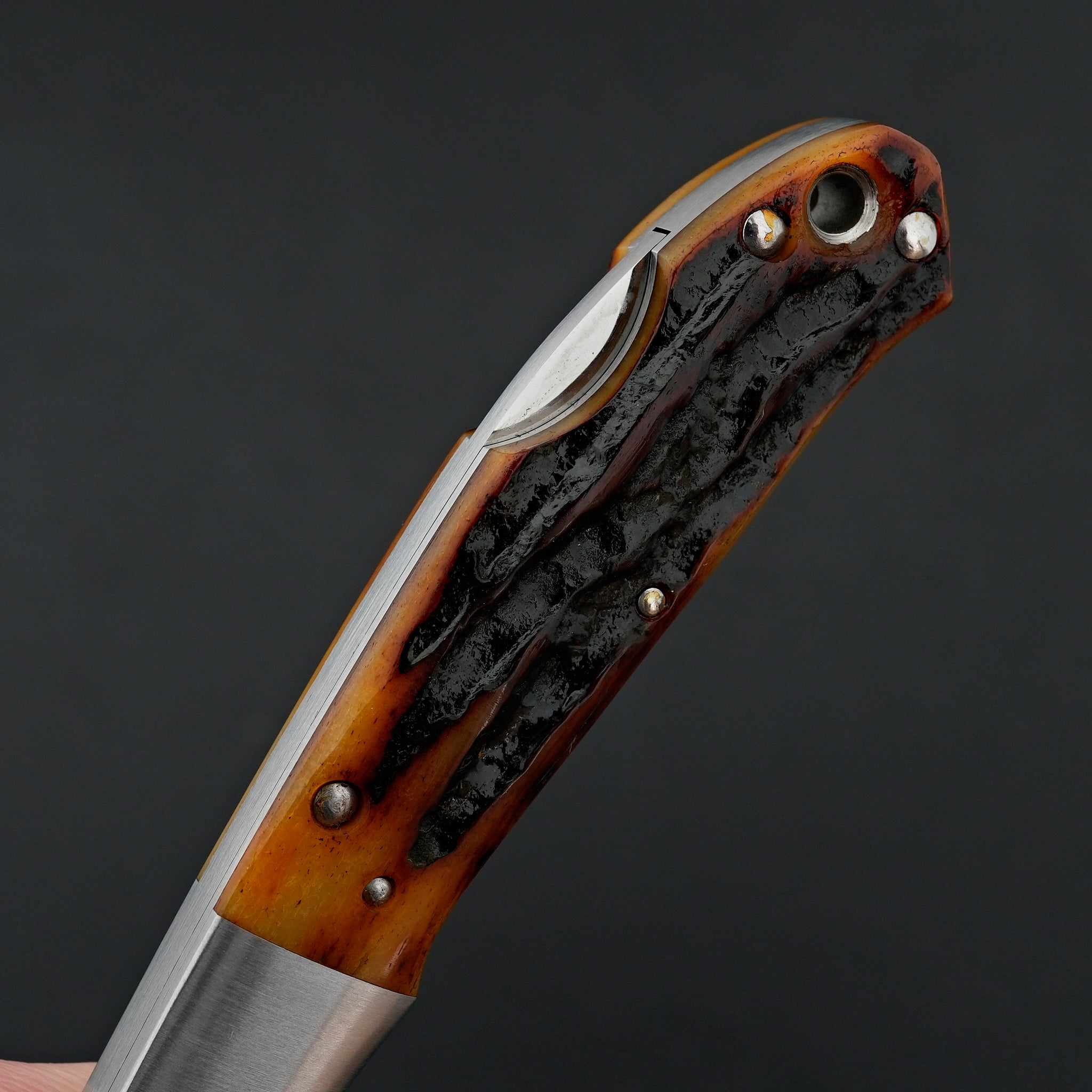 MOKI Kronos Folding Knife Stag Bone Handle (Medium)