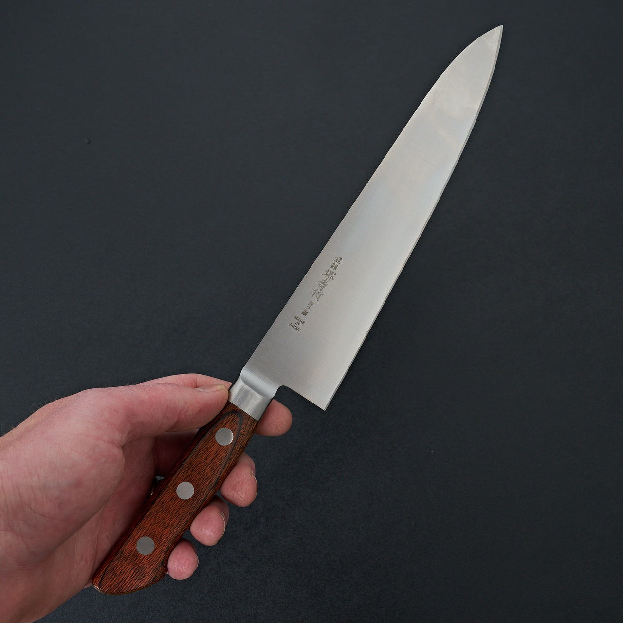 Sakai Takayuki Aonikou Blue 2 Western Gyuto 210mm