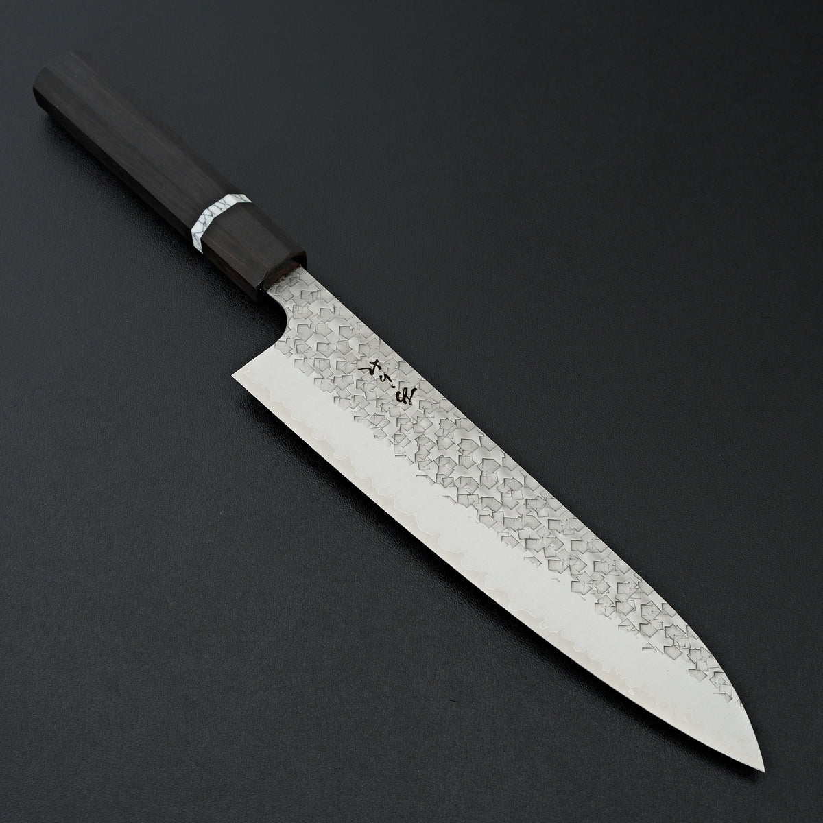 Shibata Arare SG2 Gyuto 210mm