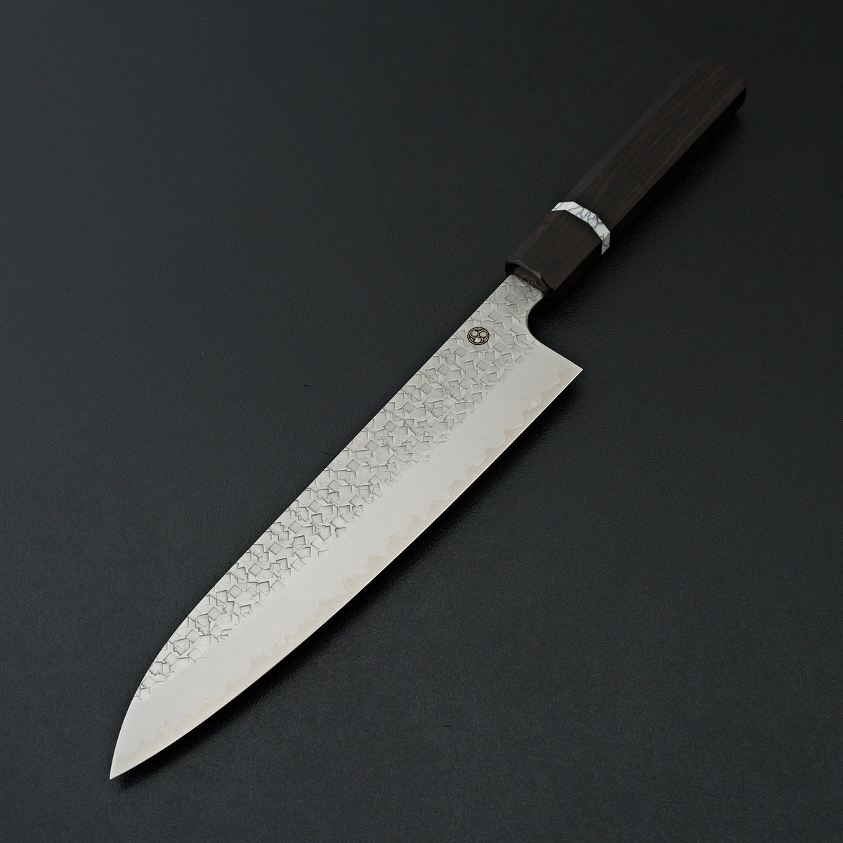Shibata Arare SG2 Gyuto 210mm