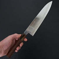 Tetsujin Silver #3 Kasumi Gyuto 240mm Taihei Tagayasan Handle