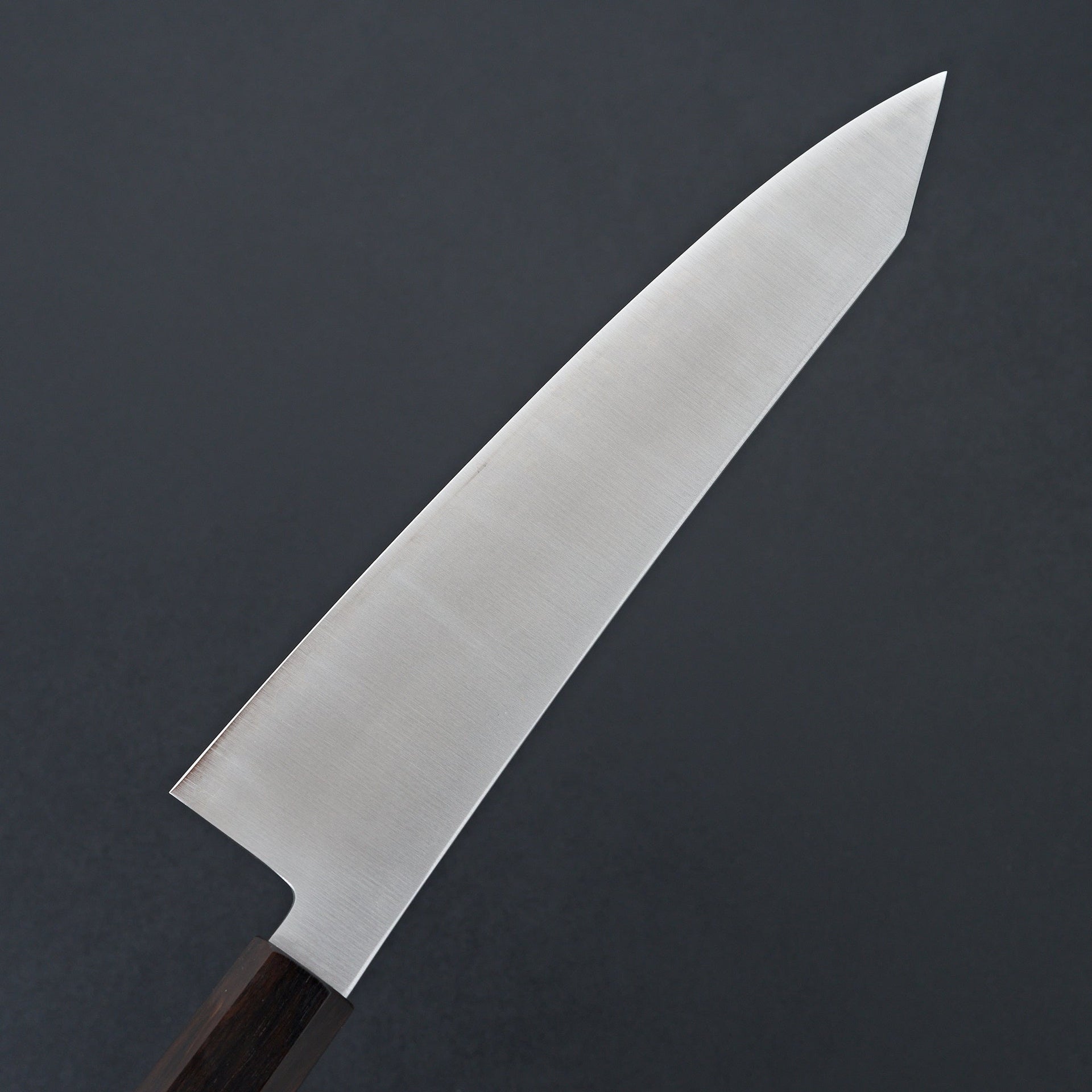 Hatsukokoro Hayabusa ATS-34 Kiritsuke Gyuto 210mm-Knife-Hayabusa-Carbon Knife Co