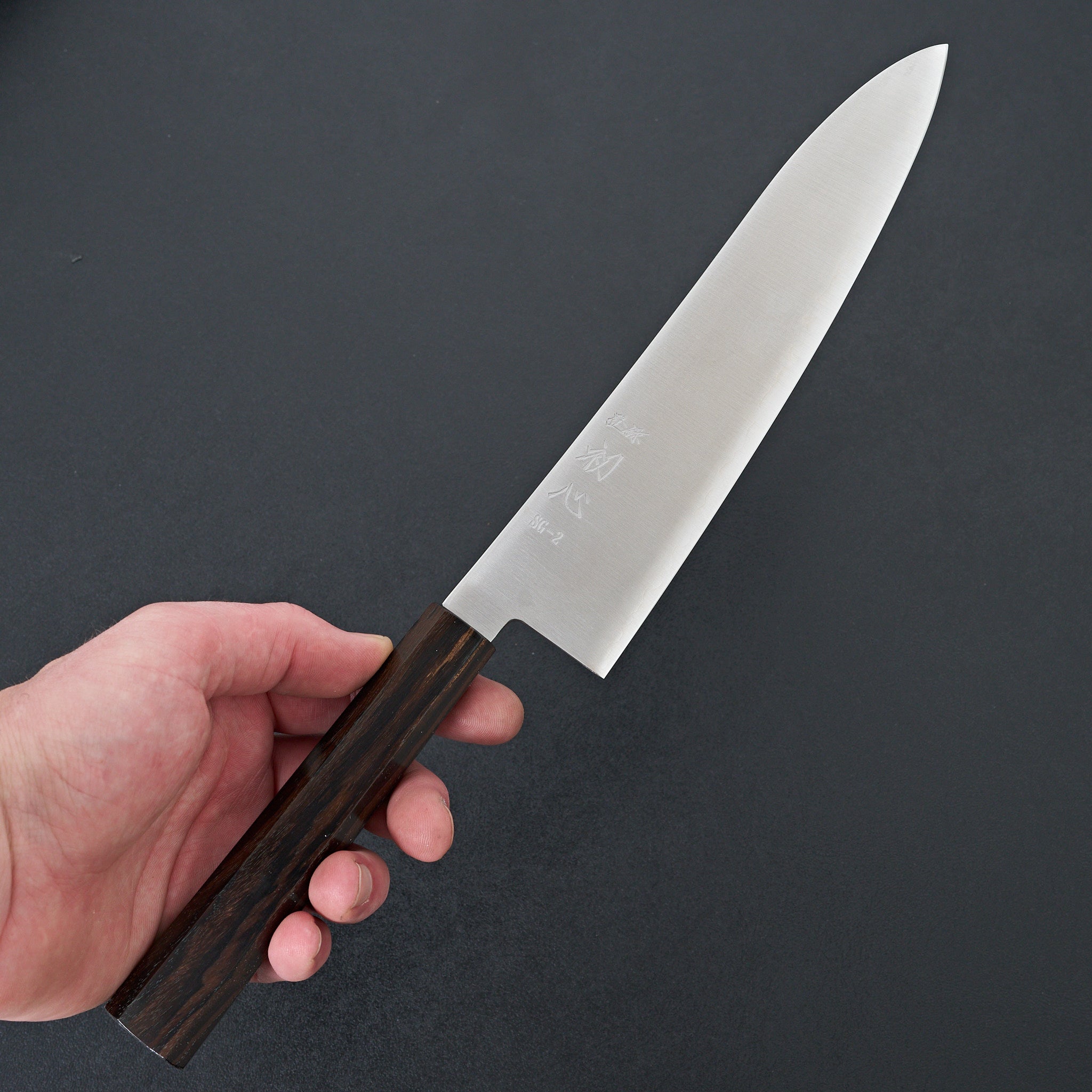 Hatsukokoro Hayabusa SG2 Gyuto 210mm