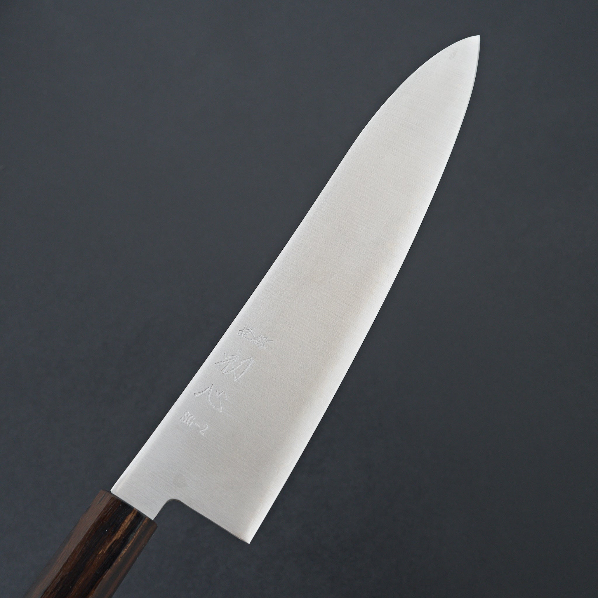 Hatsukokoro Hayabusa SG2 Gyuto 210mm
