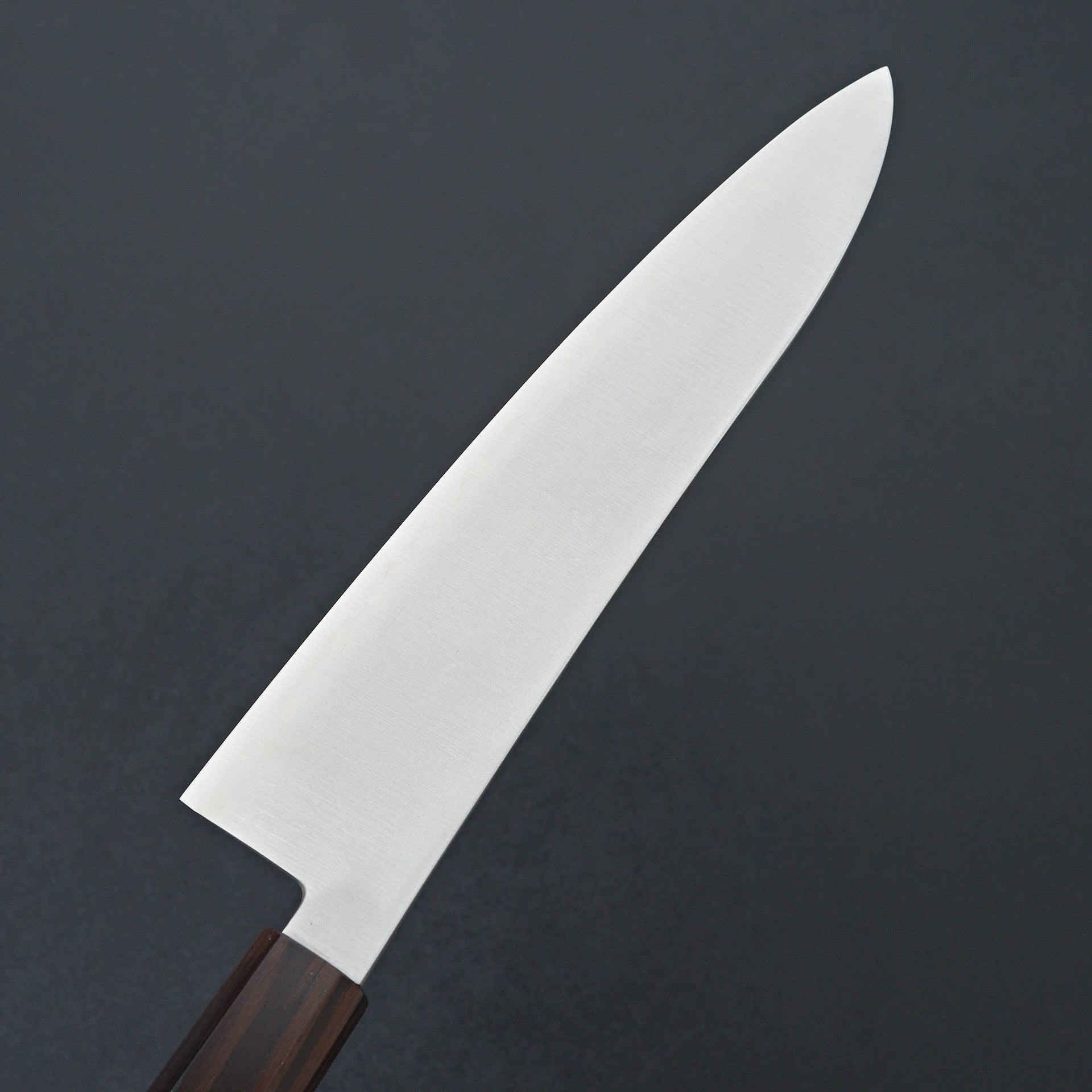 Hatsukokoro Hayabusa SG2 Gyuto 210mm-Knife-Hatsukokoro-Carbon Knife Co