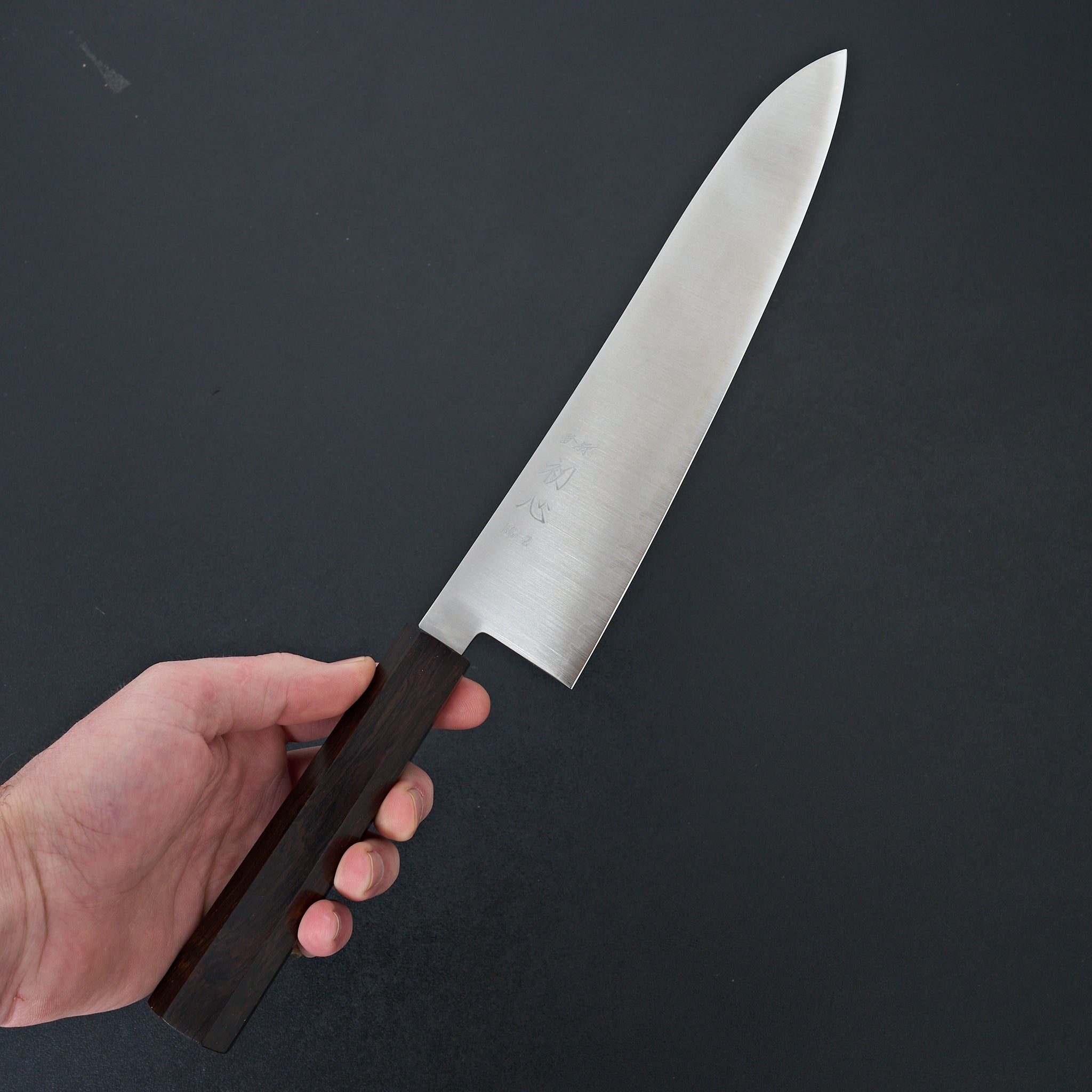 Hatsukokoro Hayabusa SG2 Gyuto 240mm