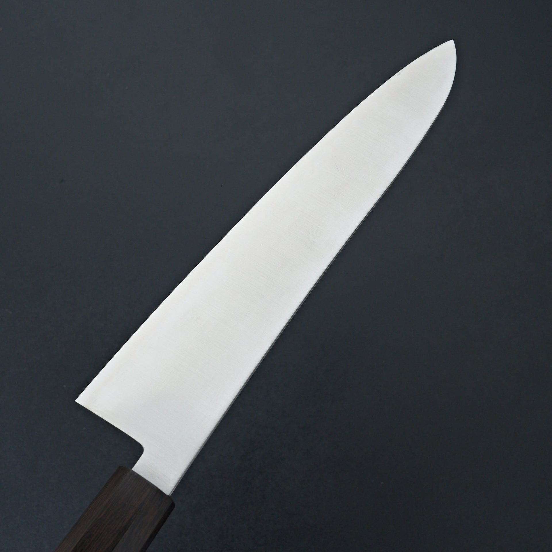 Hatsukokoro Hayabusa SG2 Gyuto 240mm-Knife-Hatsukokoro-Carbon Knife Co