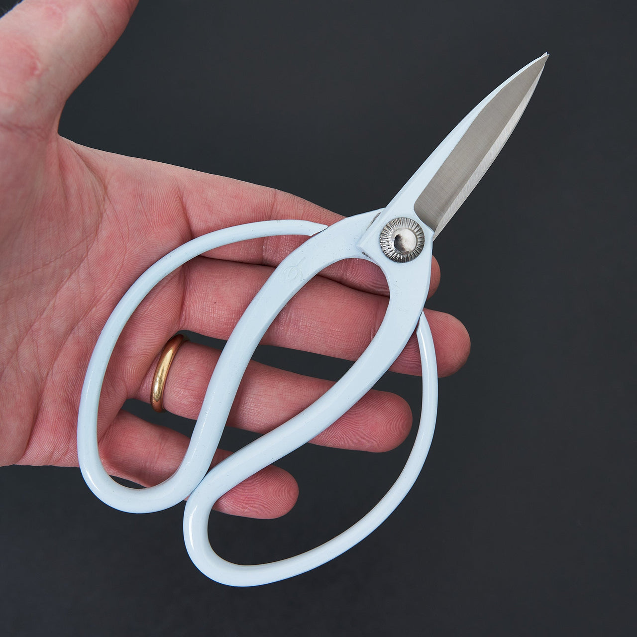 Hidehisa Okubo Shears Blue 170mm-Accessories-Toyama Hamono-Carbon Knife Co