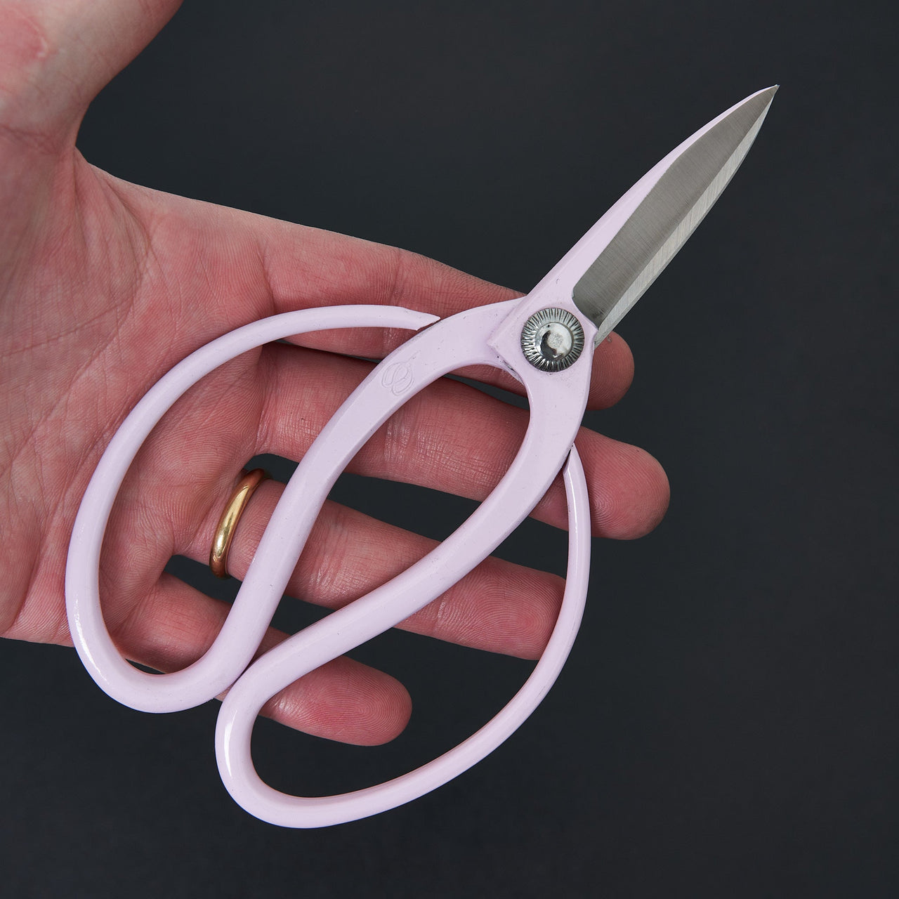 Hidehisa Okubo Shears Purple 170mm-Accessories-Toyama Hamono-Carbon Knife Co