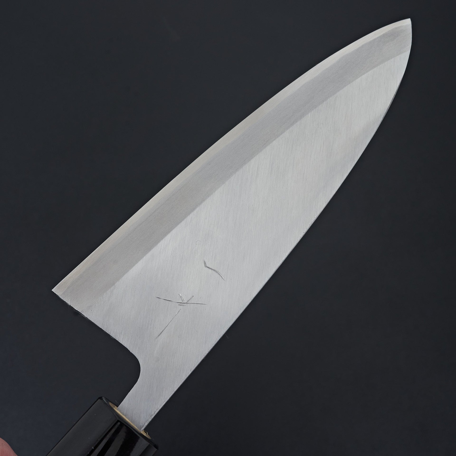 Hitohira Gorobei White #3 Left-Handed Deba 180mm Ho Wood Handle (D-Shape)-Knife-Hitohira-Carbon Knife Co