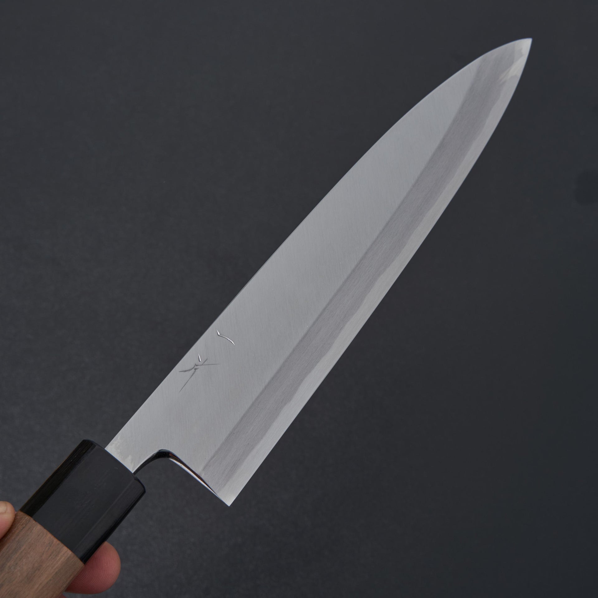 Hitohira Kikuchiyo Manzo White #3 Mioroshi Deba 210mm Walnut Handle (Saya)-Knife-Hitohira-Carbon Knife Co