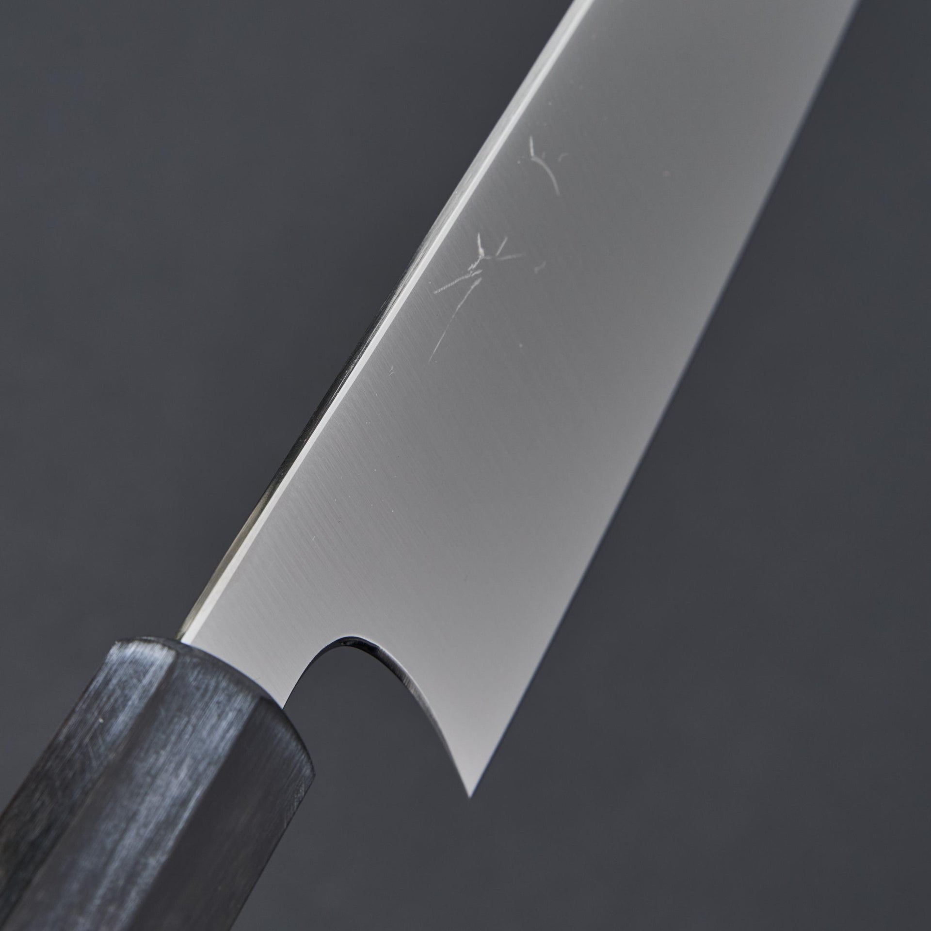 Hitohira SKR Stainless Gyuto 210mm Ho Wood Handle-Hitohira-Carbon Knife Co