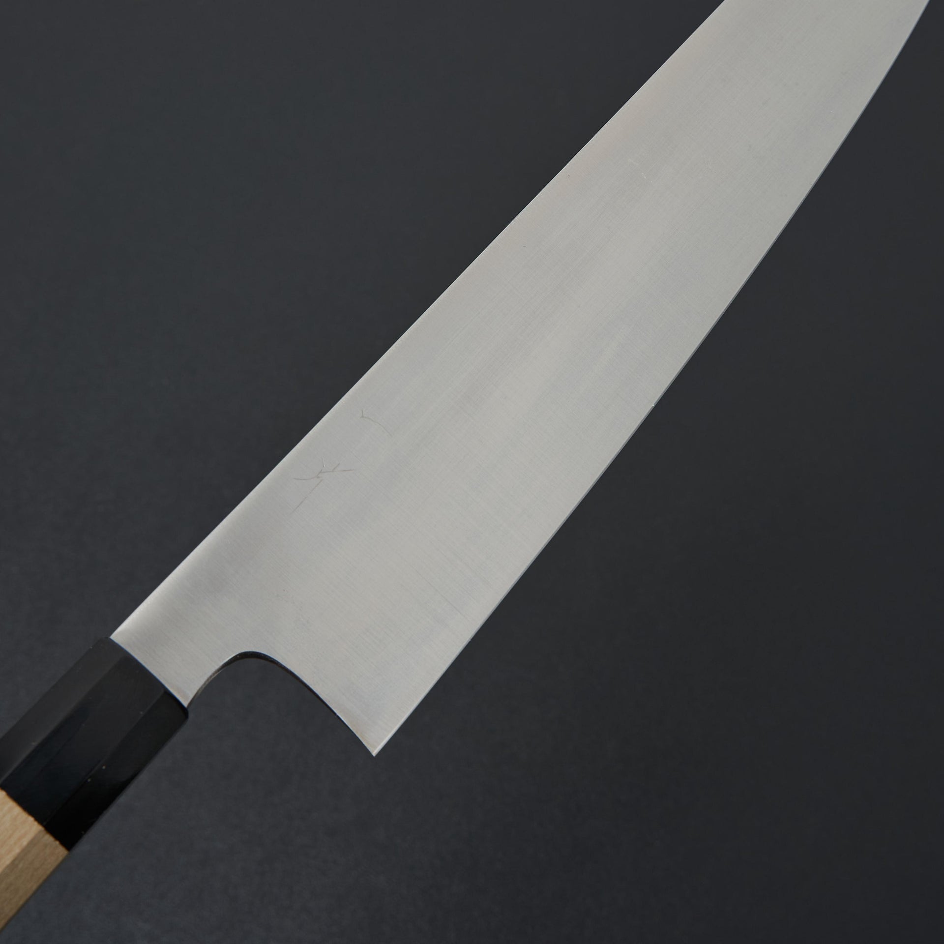 Hitohira SKR Stainless Gyuto 270mm Ho Wood Handle-Knife-Hitohira-Carbon Knife Co